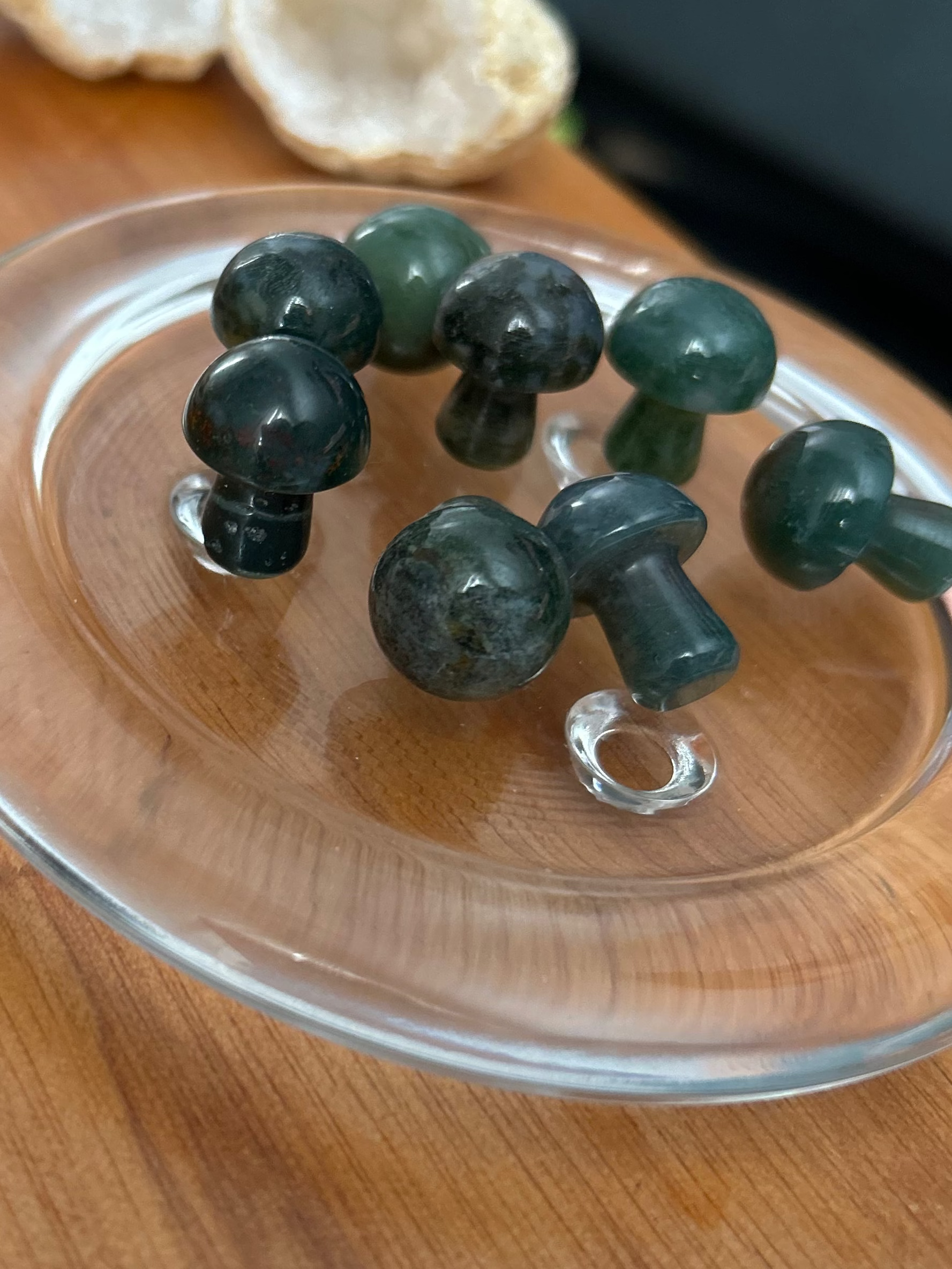 Ocean Jasper Mushroom