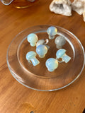 Opalite Mushroom