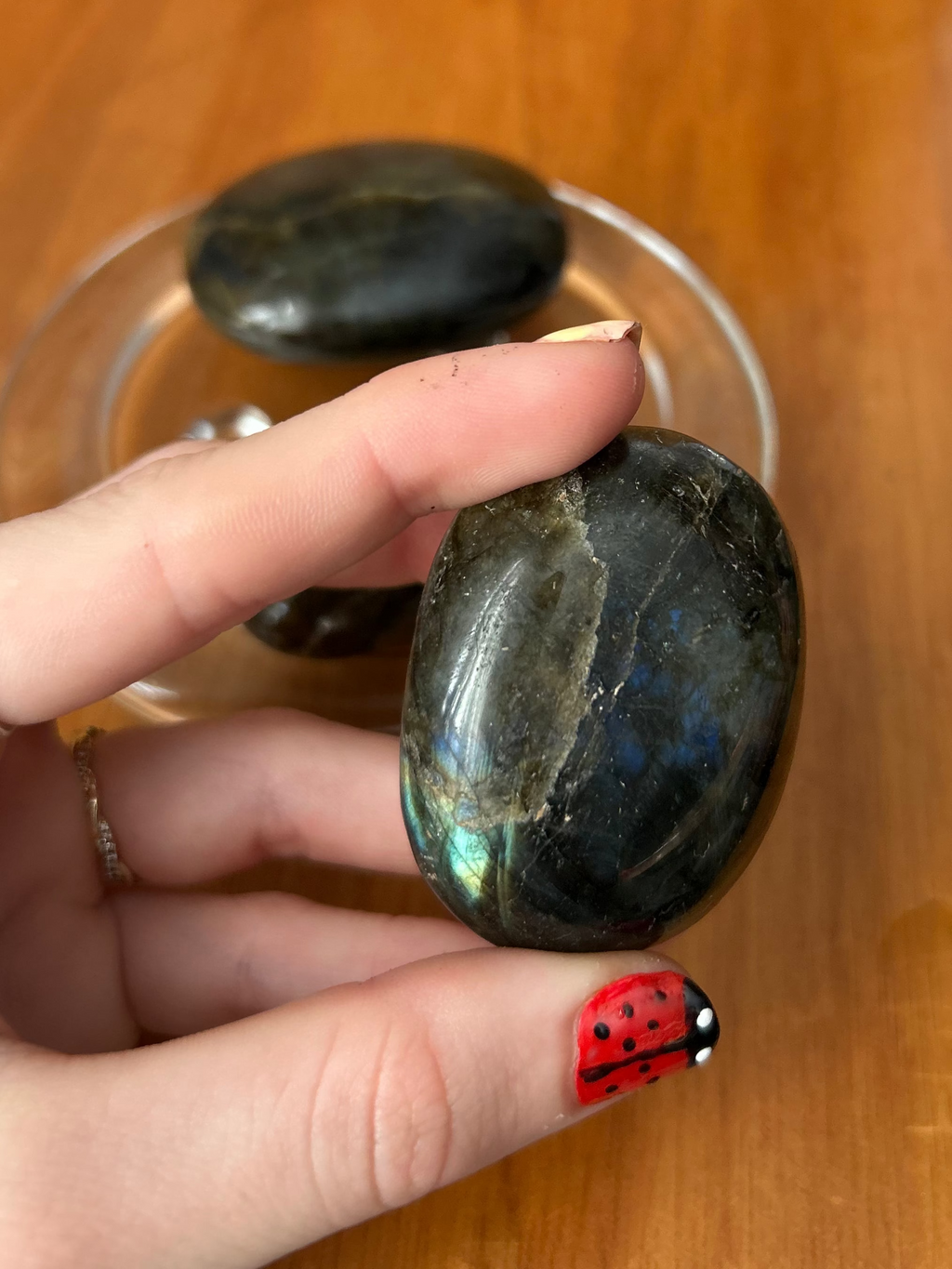 Labradorite Palm #4