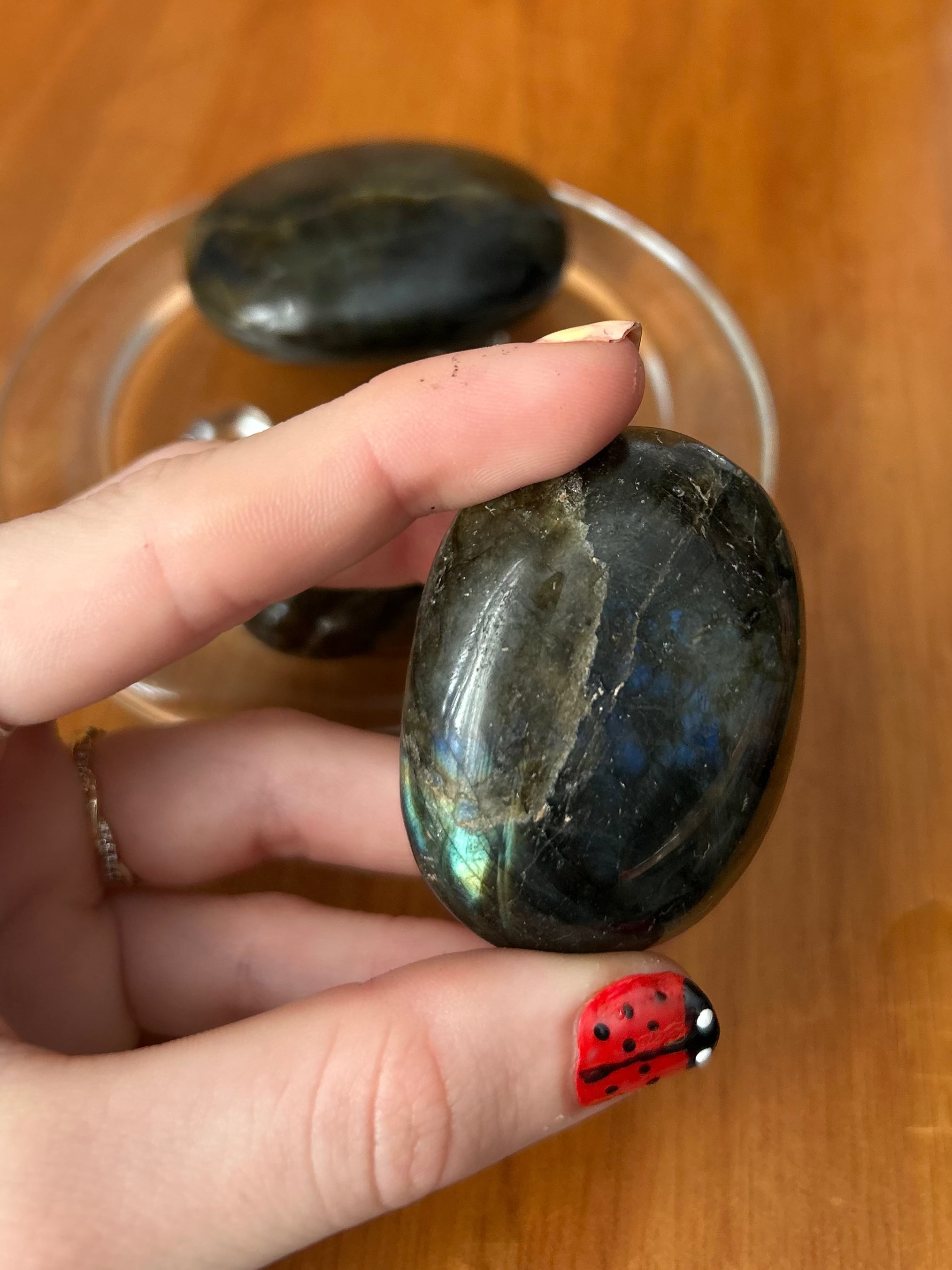 Labradorite Palm #4