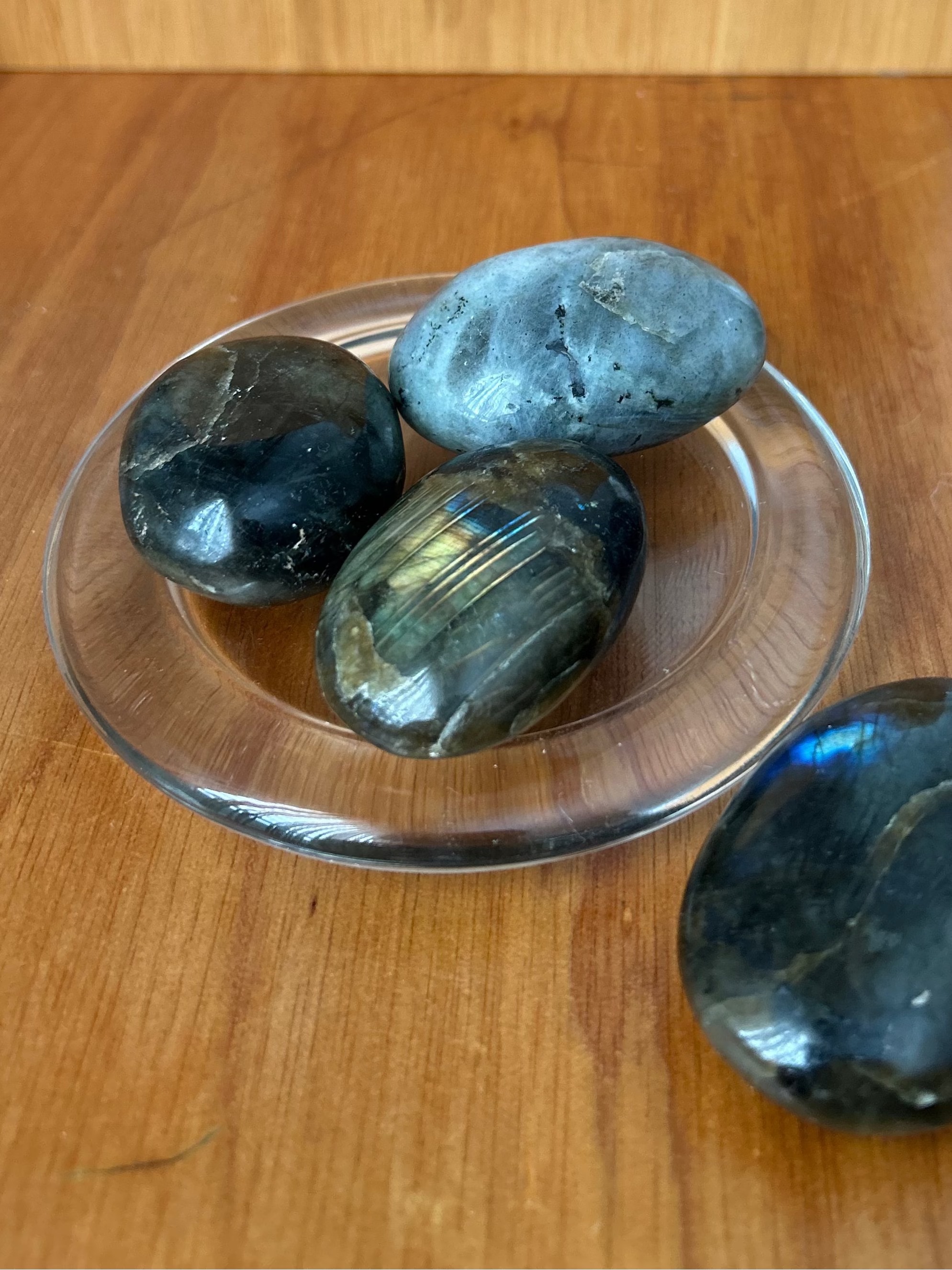 Labradorite Palm #1