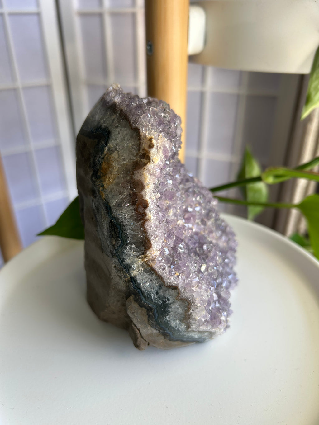 Amethyst Cluster