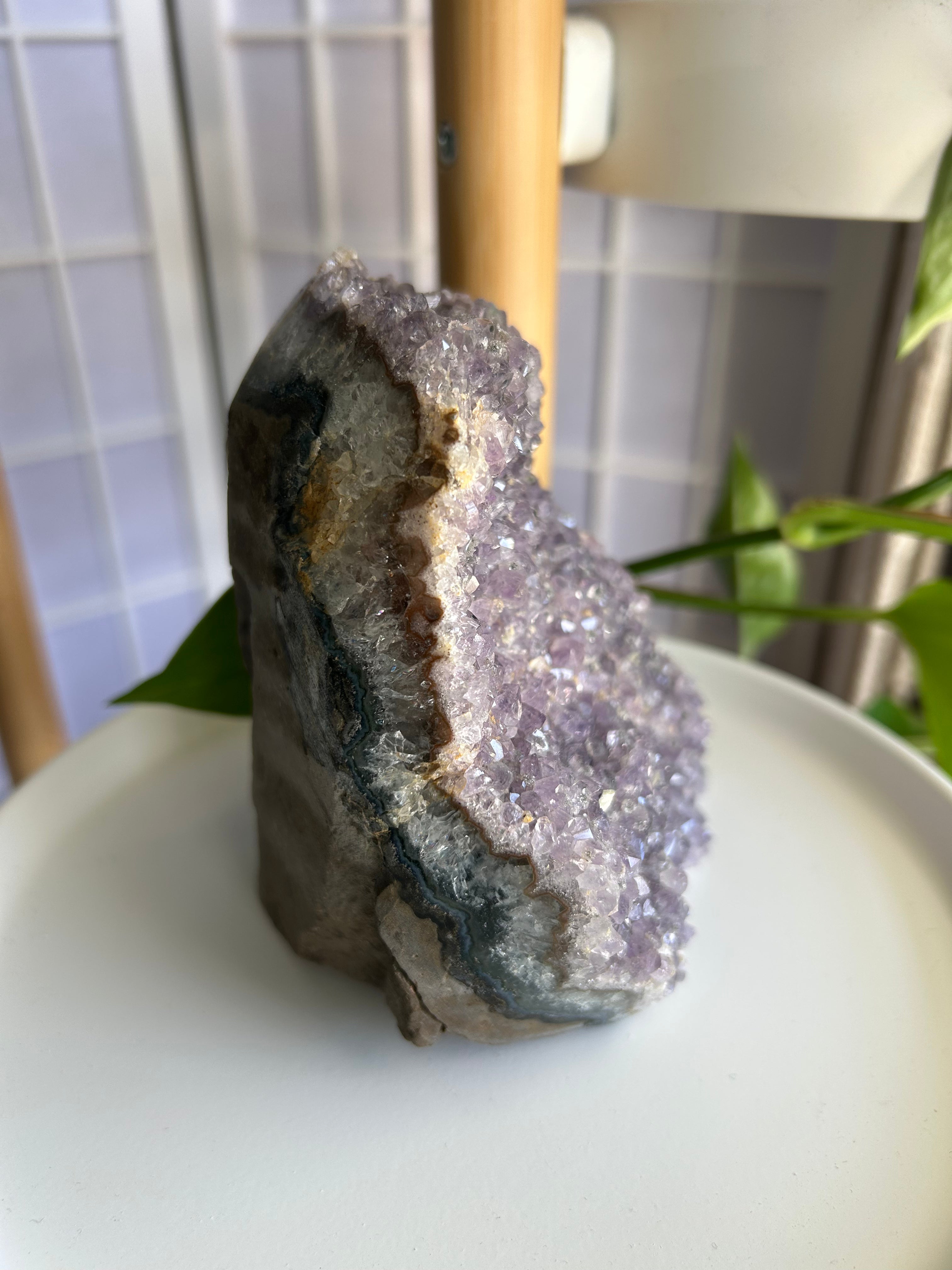 Amethyst Cluster
