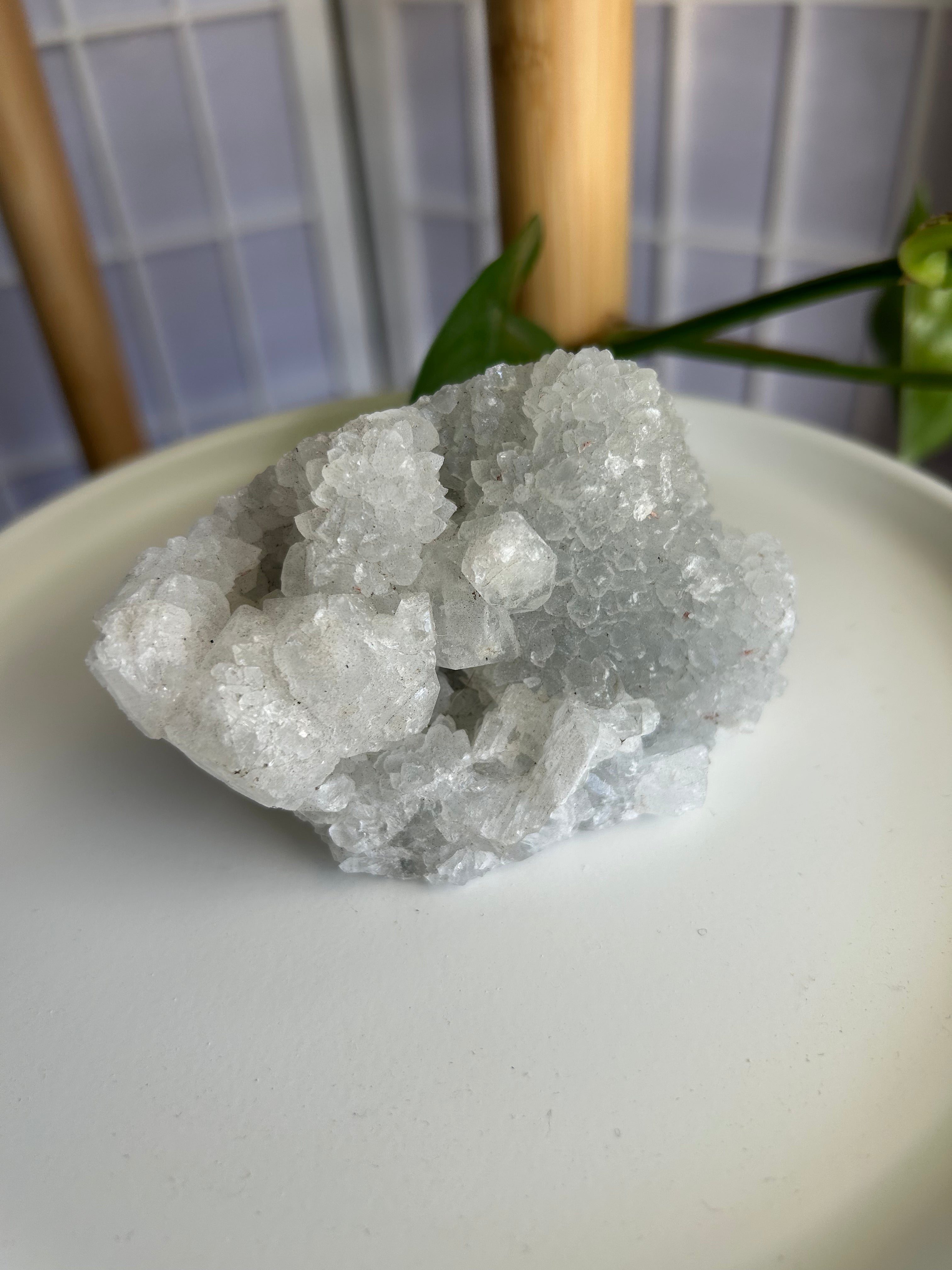 Apophyllite Cluster #3