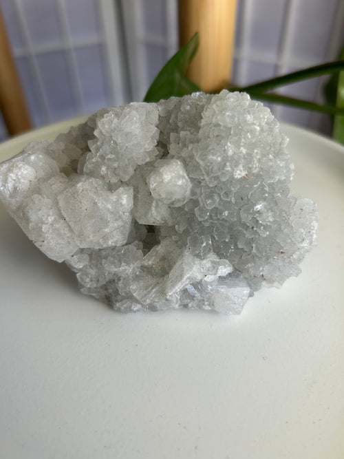 Apophyllite Cluster #3