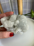 Apophyllite Cluster #3