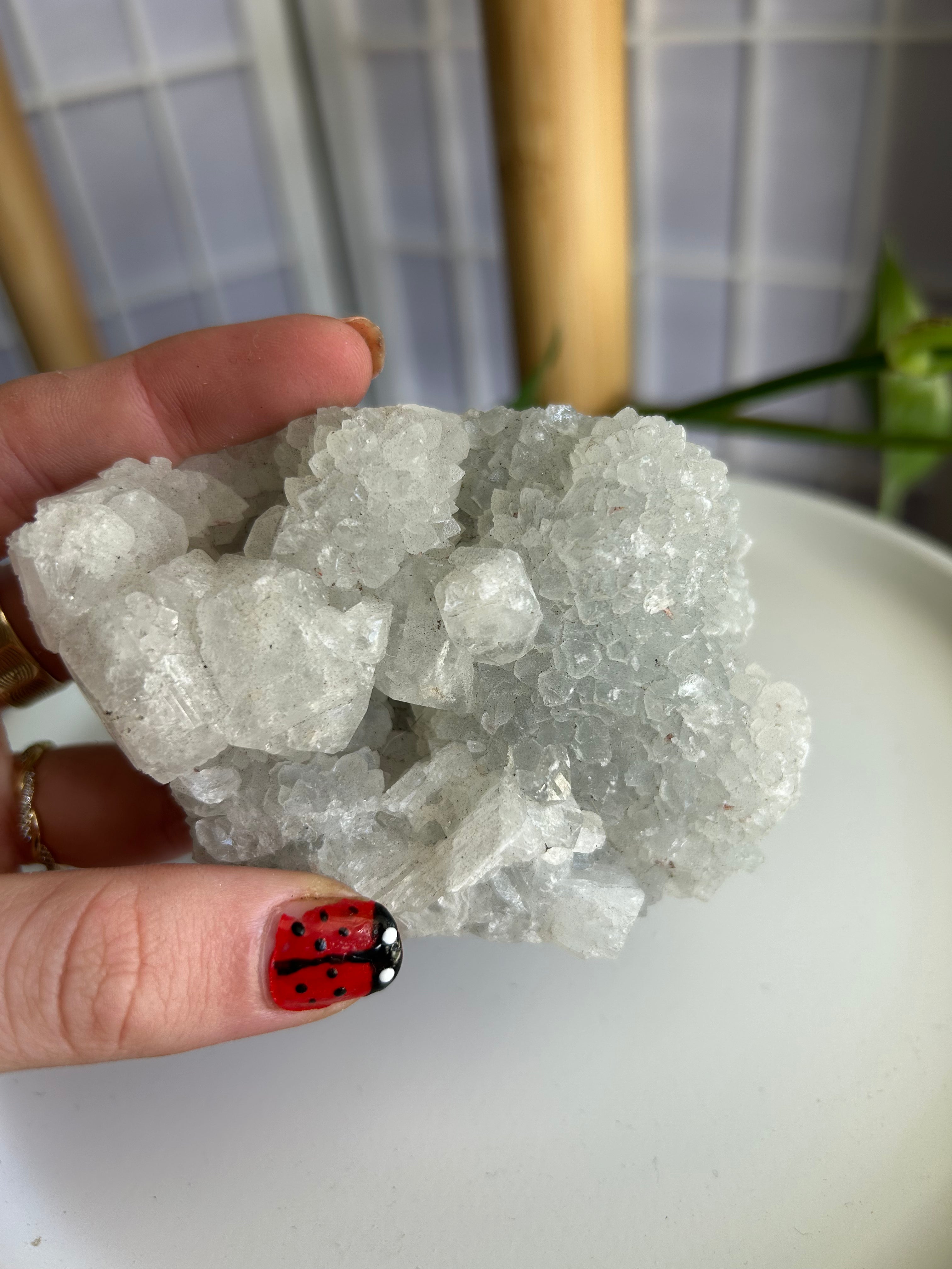 Apophyllite Cluster #3