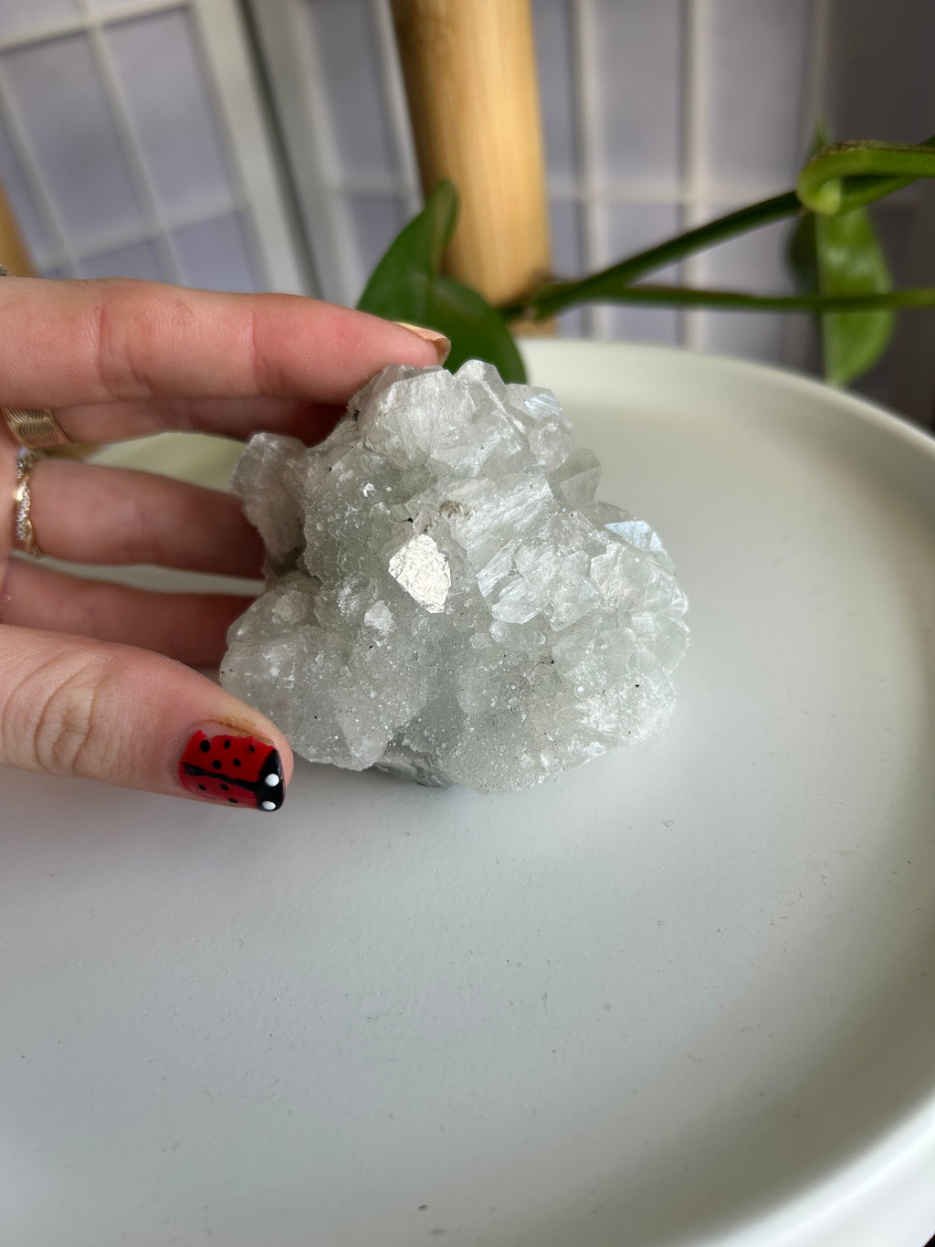 Apophyllite Cluster #2