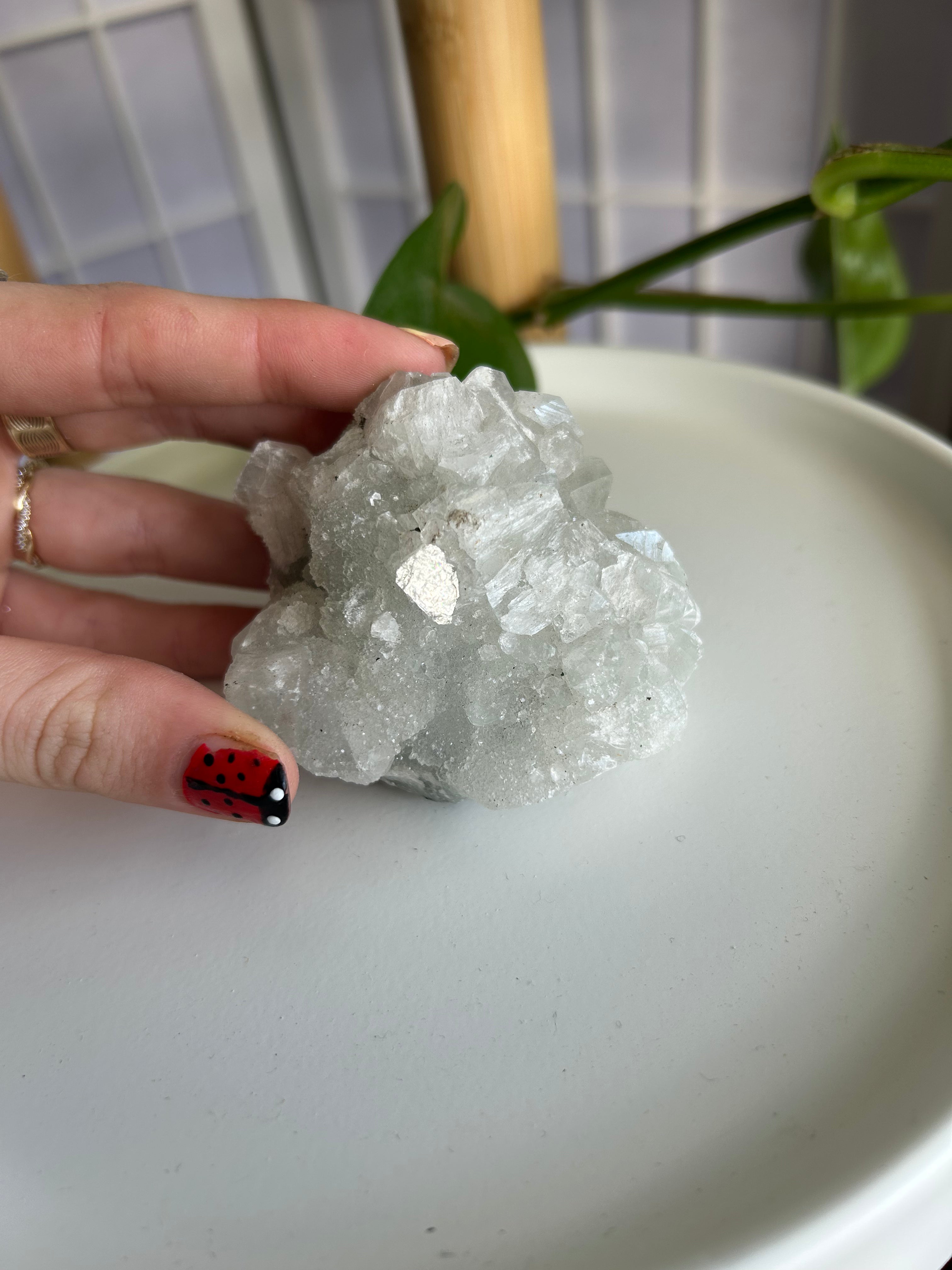 Apophyllite Cluster #2