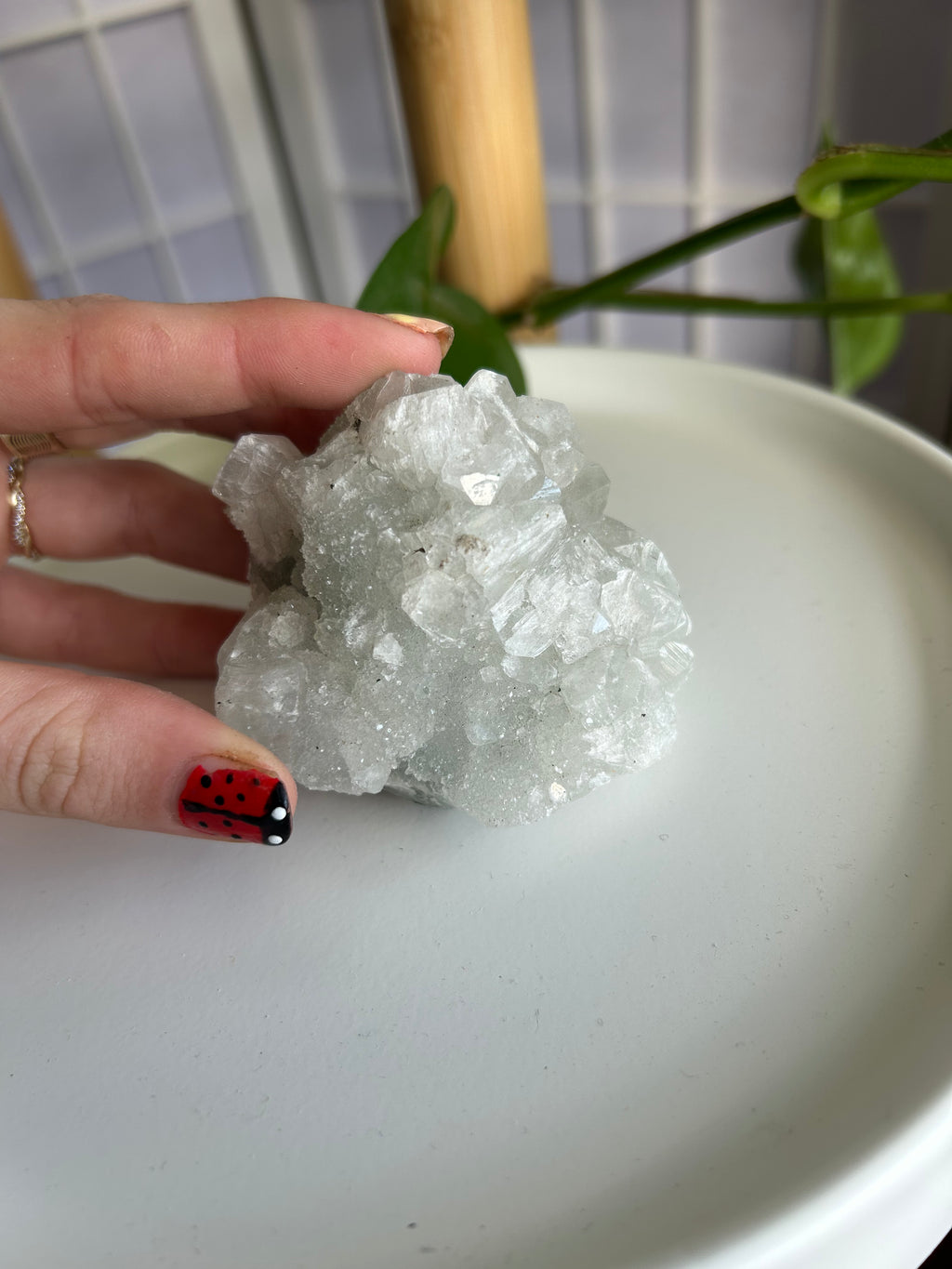 Apophyllite Cluster #2