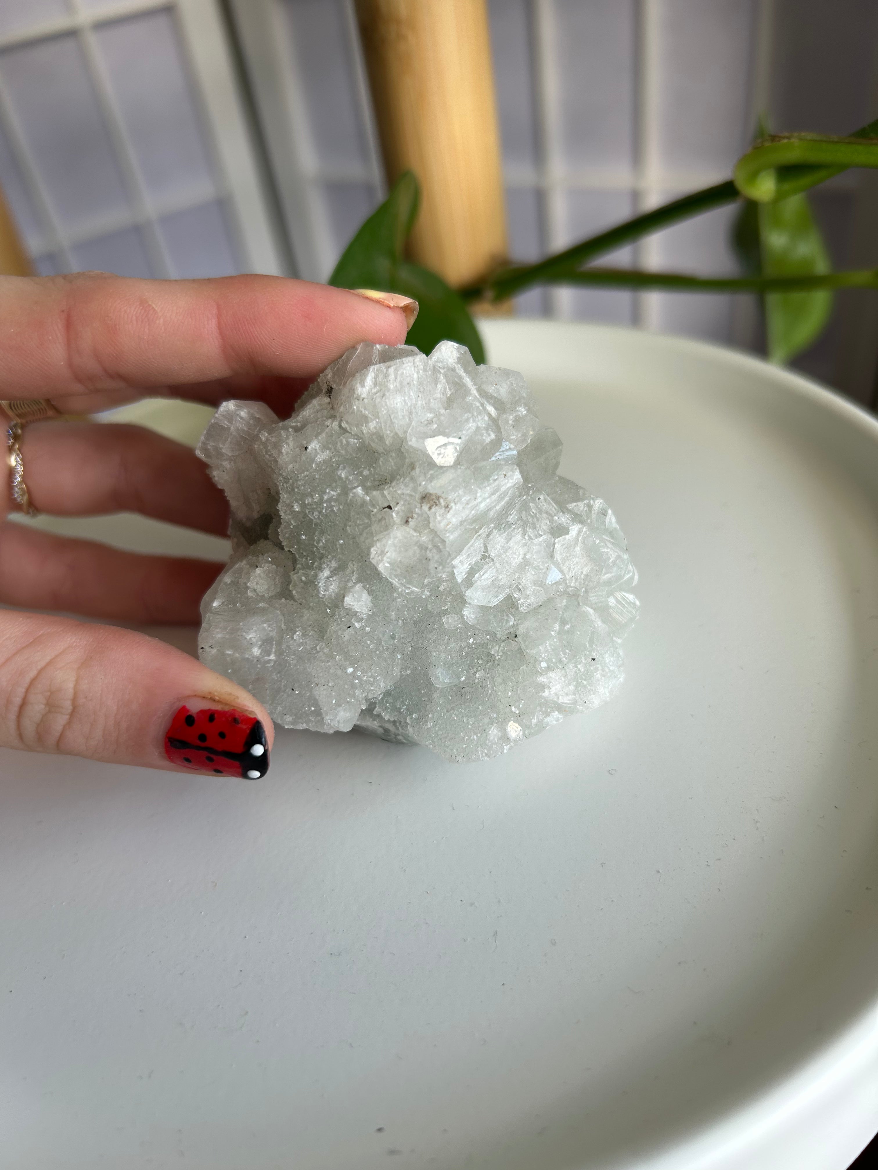 Apophyllite Cluster #2