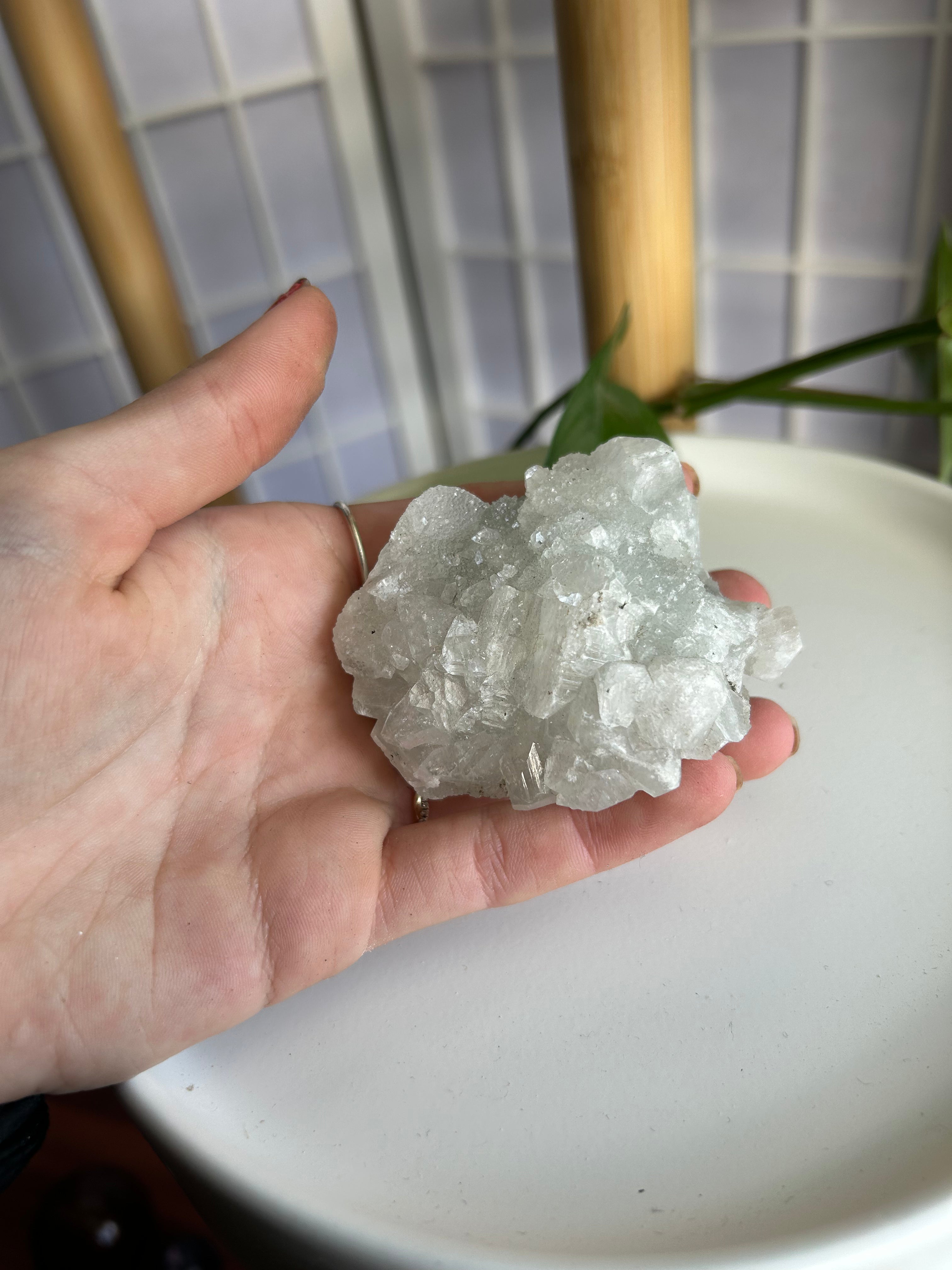 Apophyllite Cluster #2