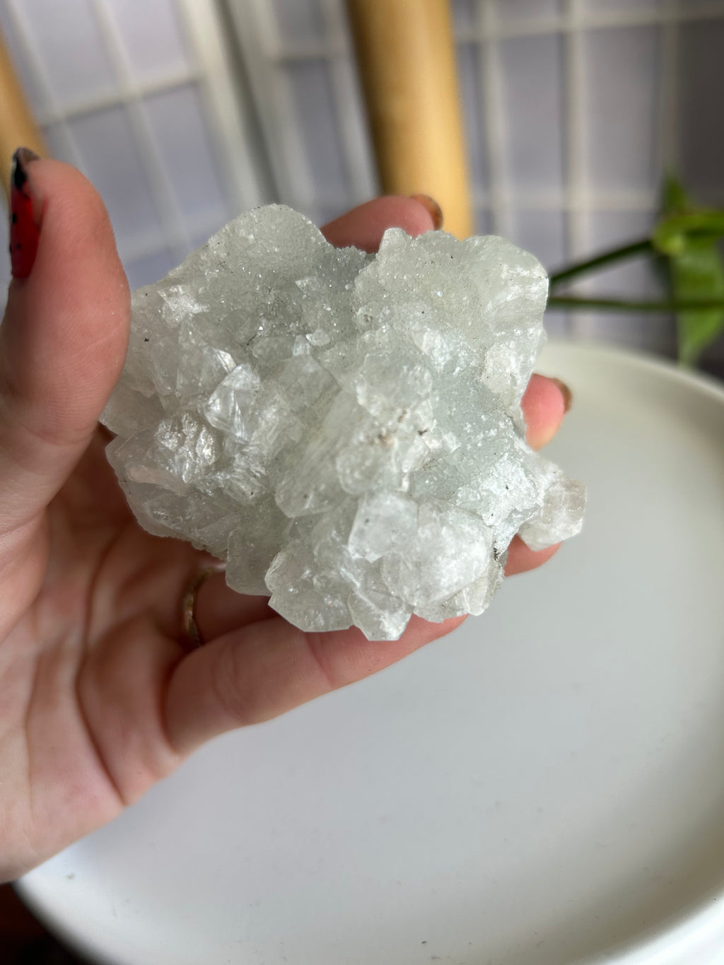 Apophyllite Cluster #2