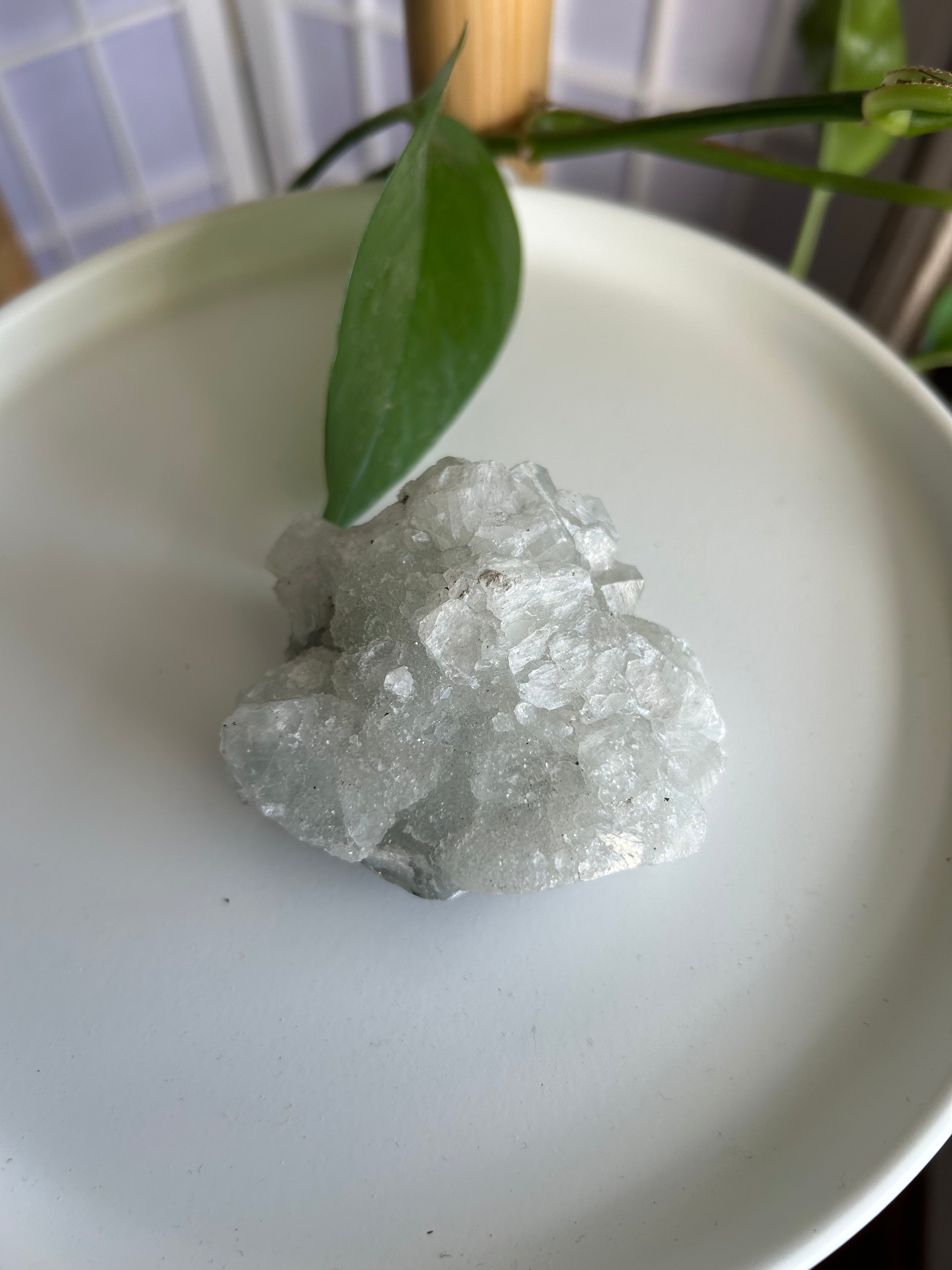 Apophyllite Cluster #2