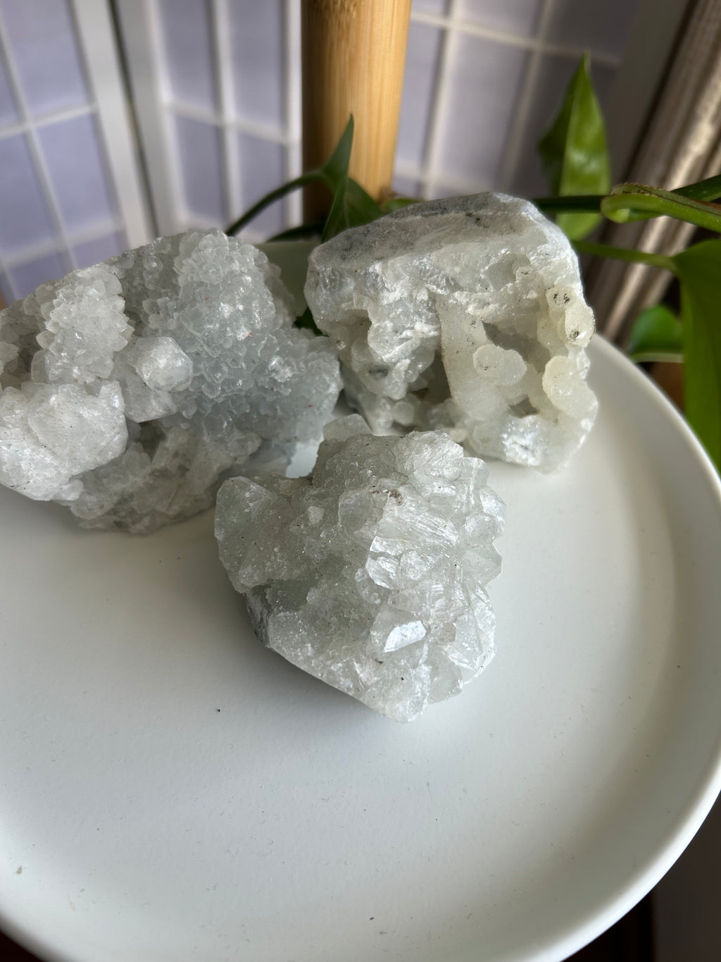 Apophyllite Cluster #3