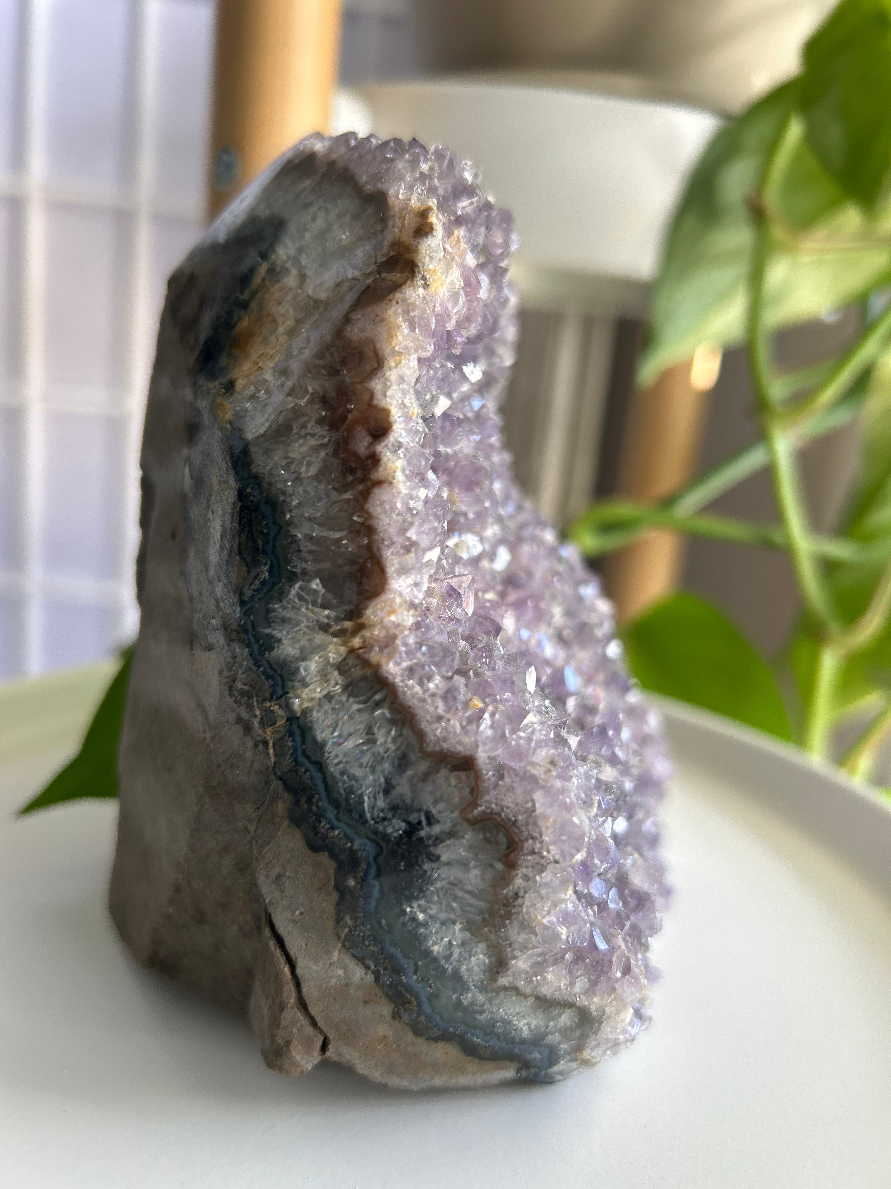 Amethyst Cluster