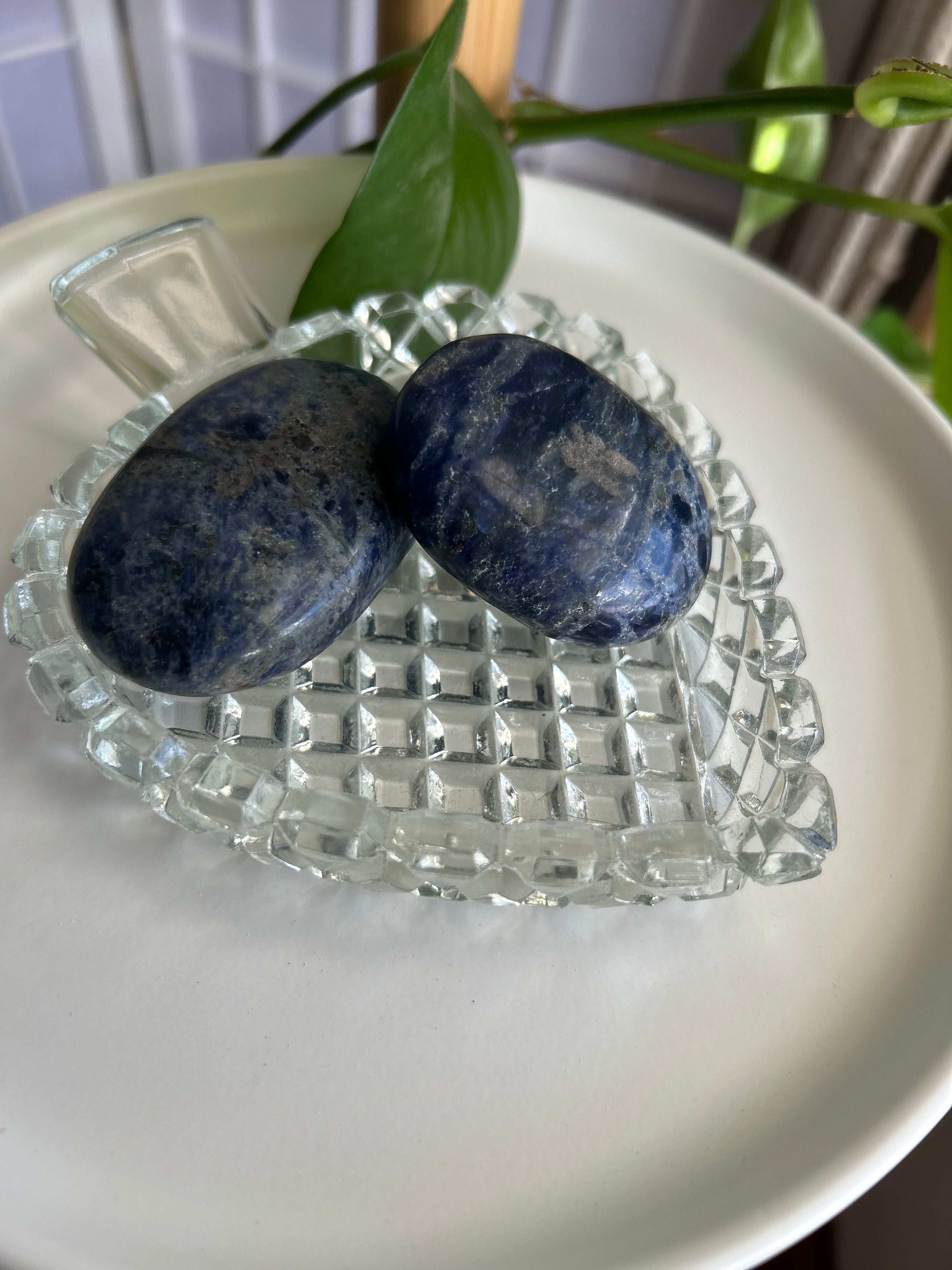 Sodalite Palms