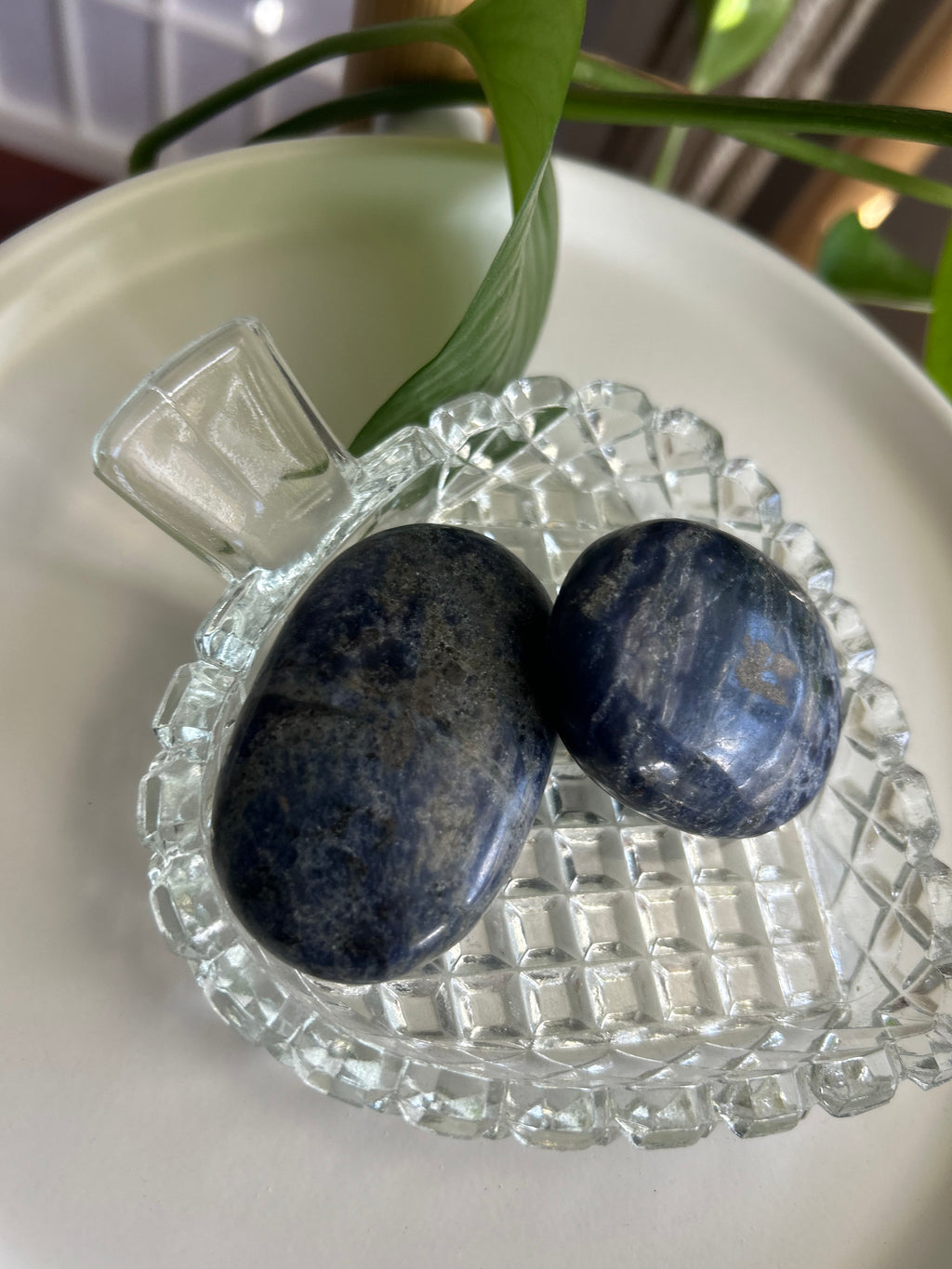 Sodalite Palms
