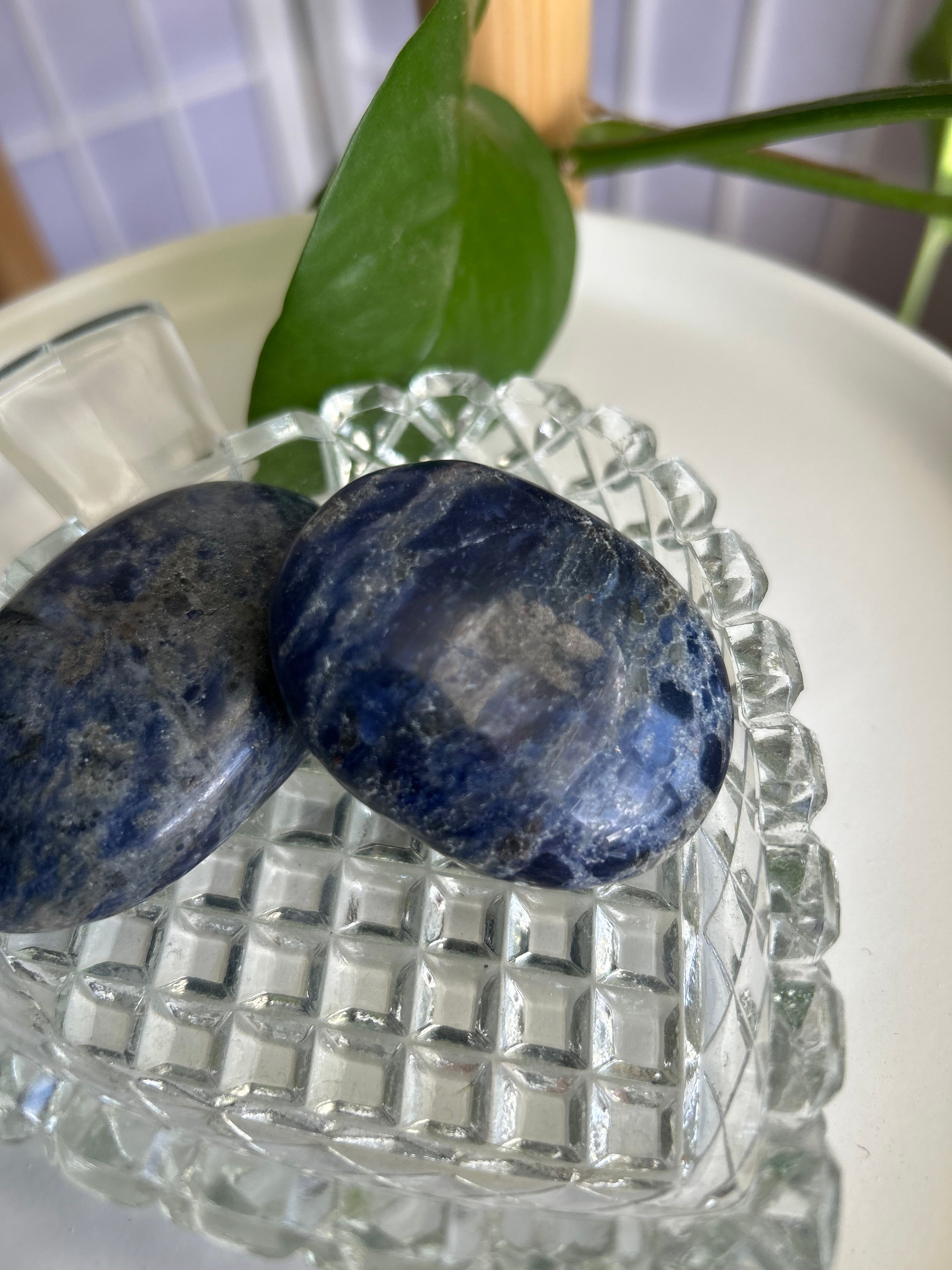 Sodalite Palms
