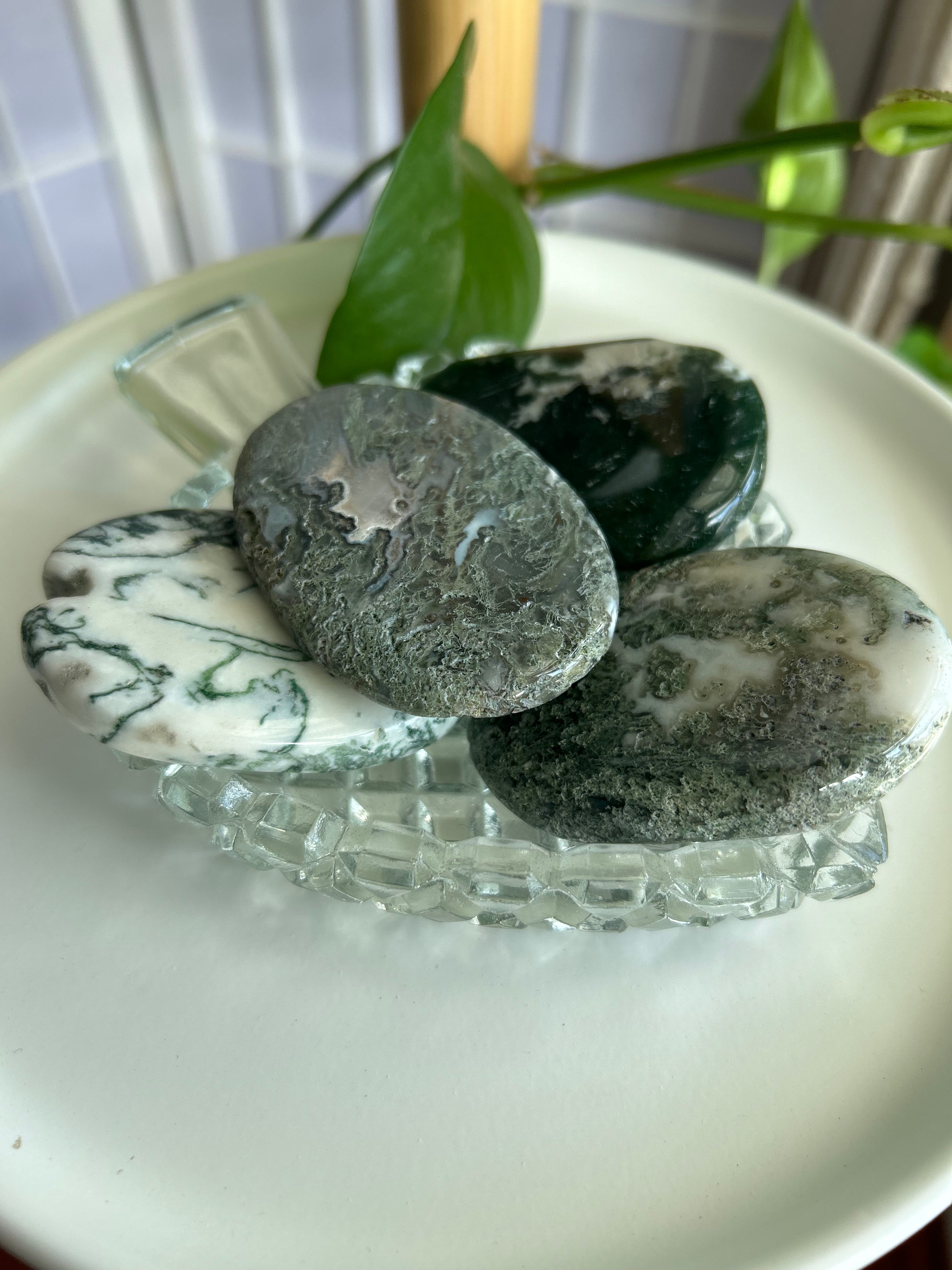Moss Agate Palm