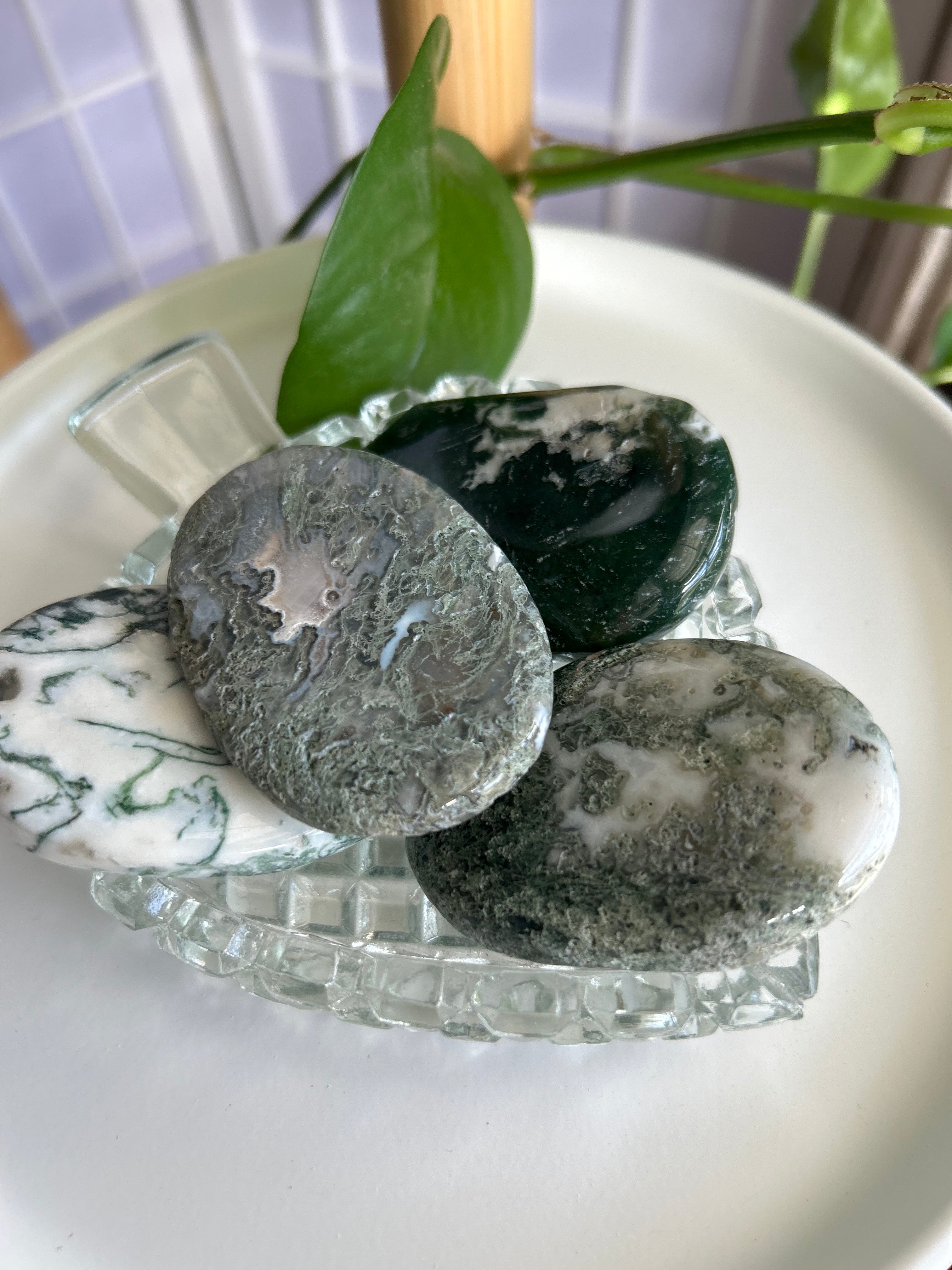 Moss Agate Palm