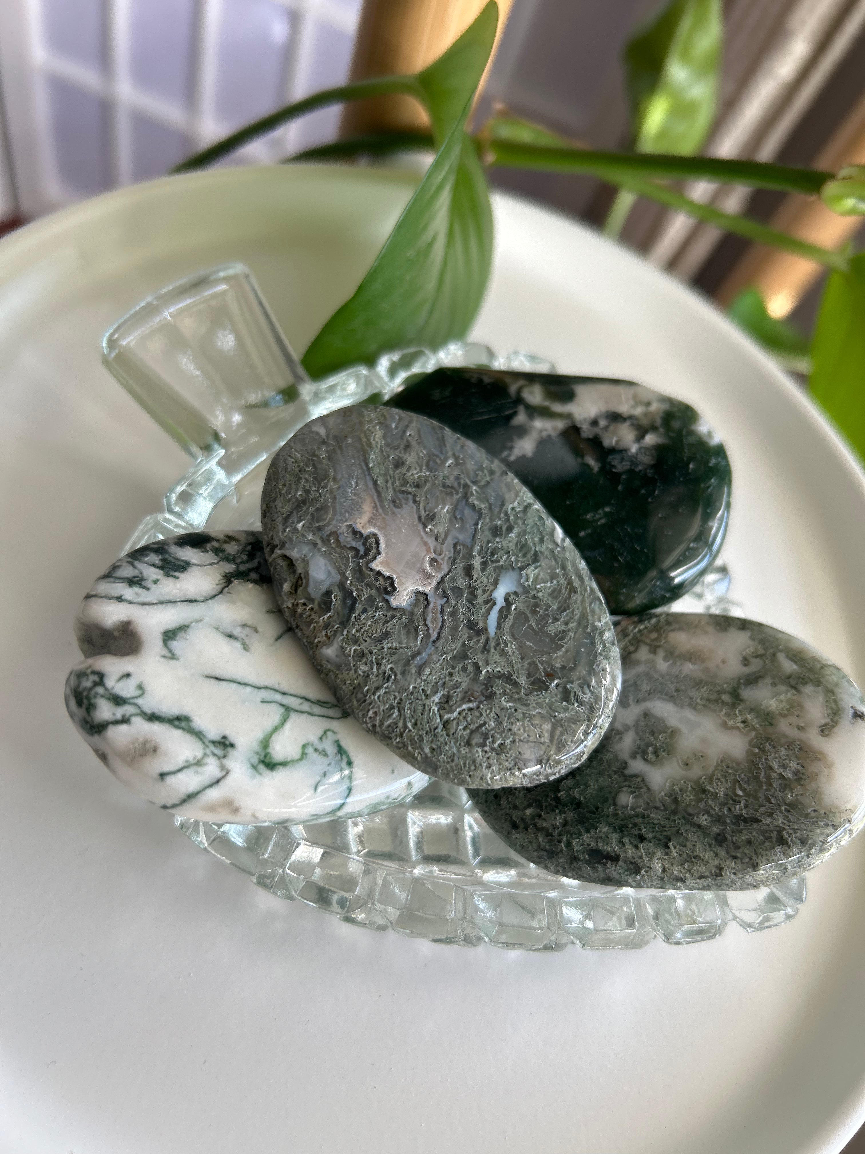 Moss Agate Palm