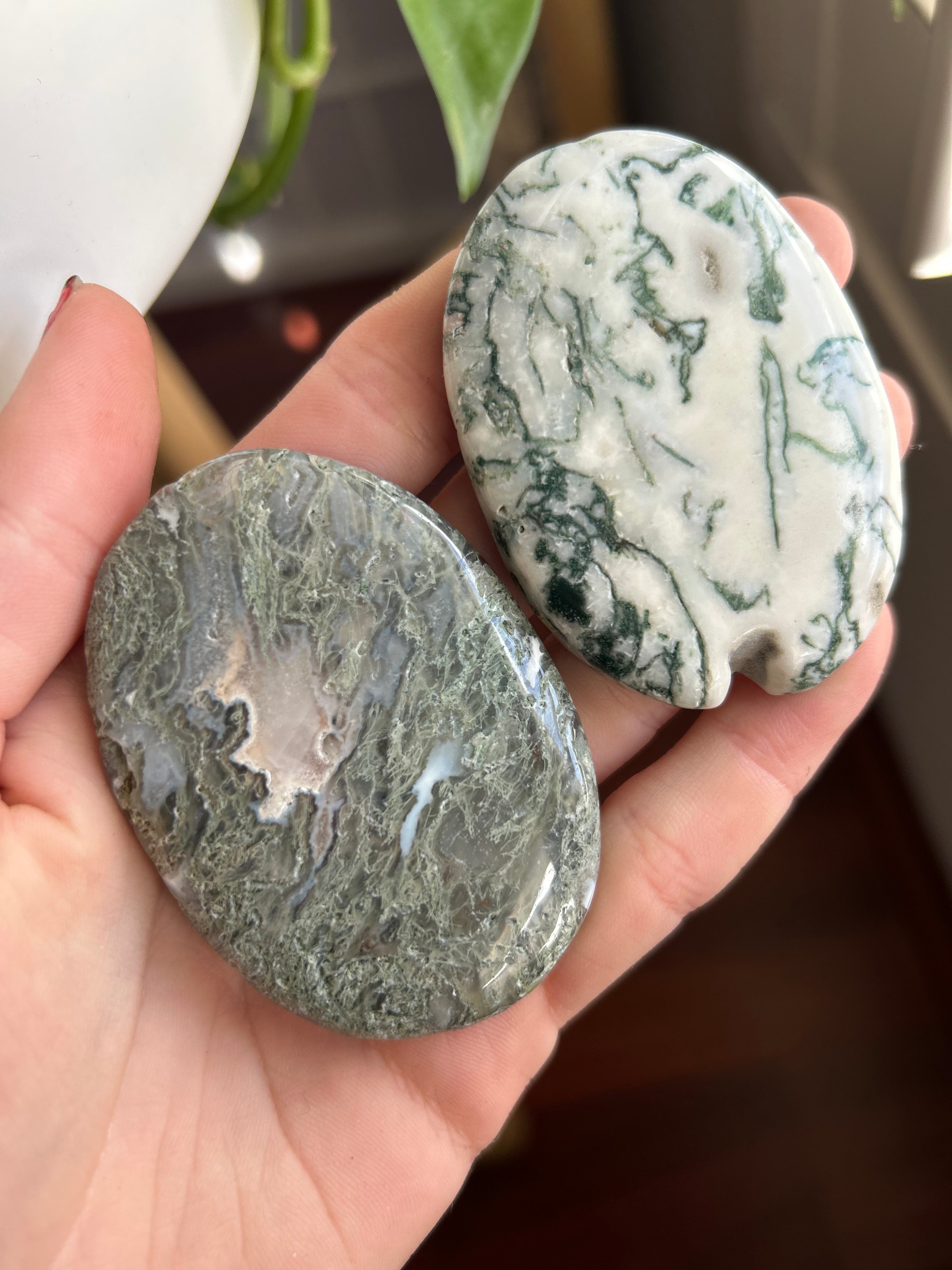 Moss Agate Palm