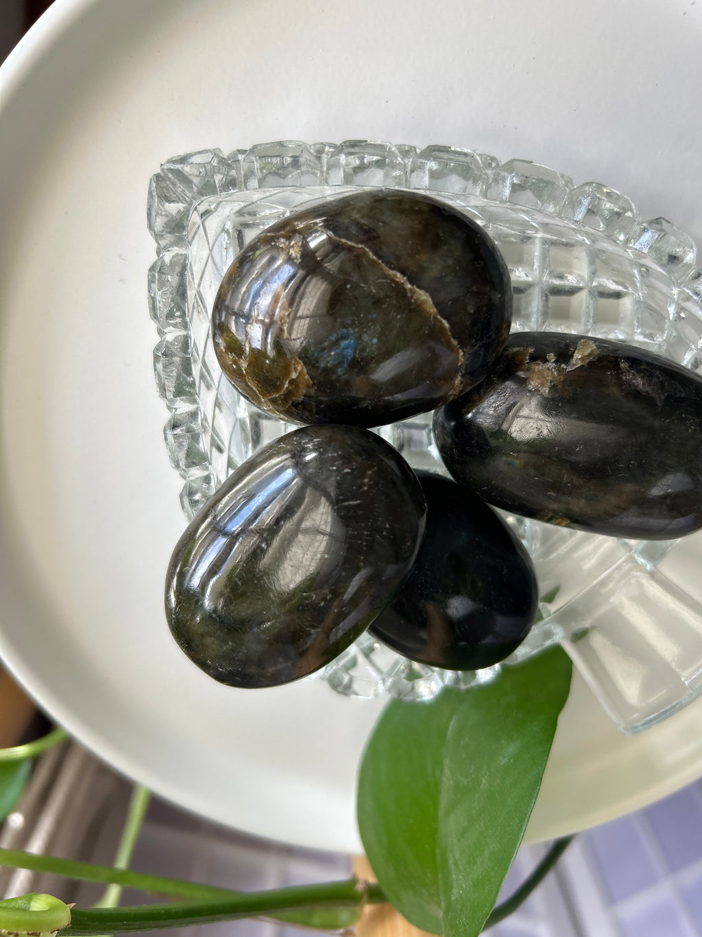 Labradorite Palm