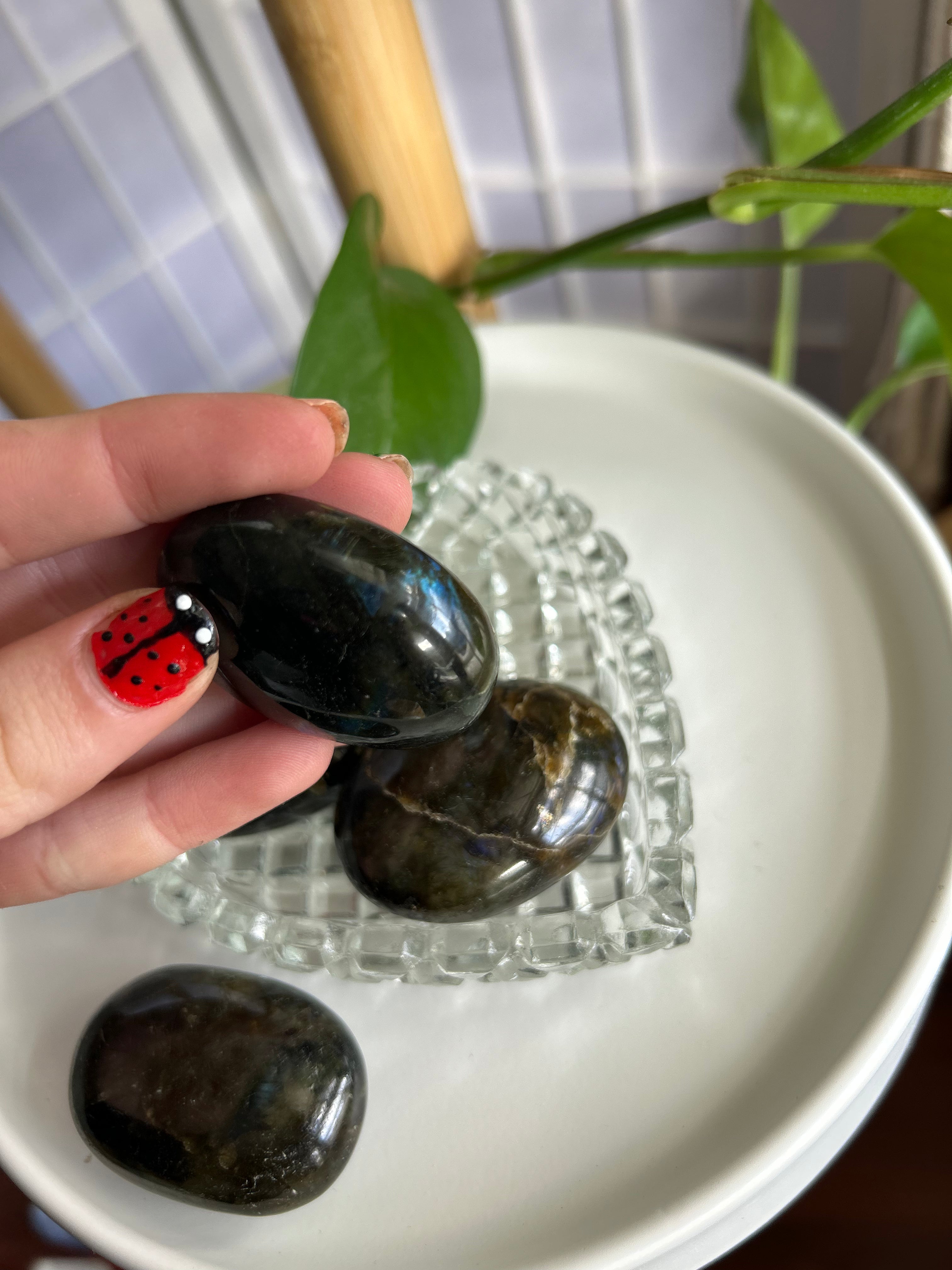 Labradorite Palm