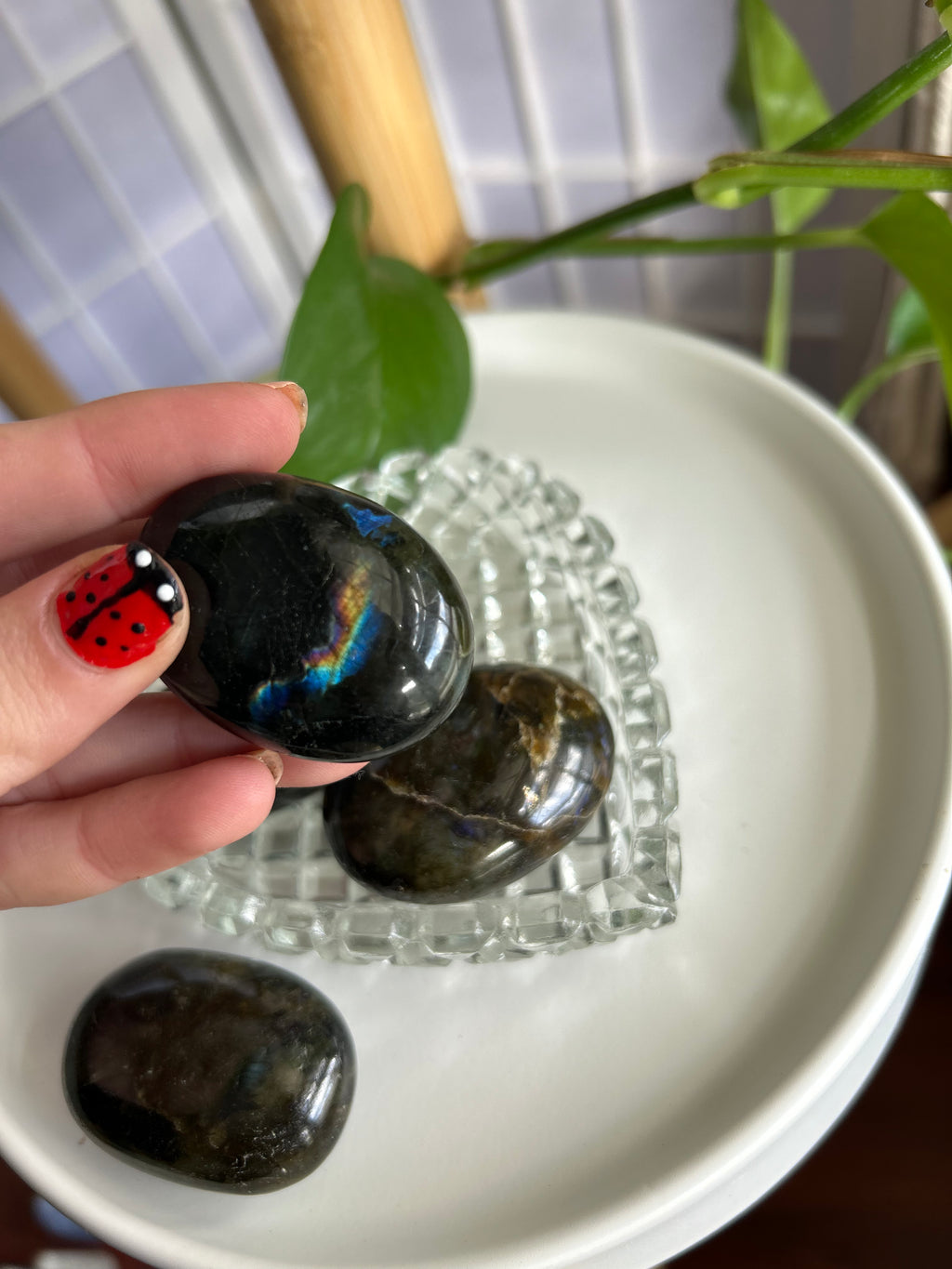 Labradorite Palm