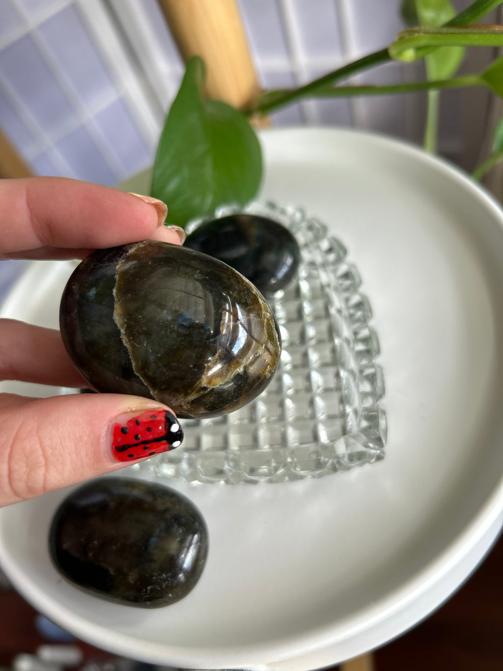 Labradorite Palm