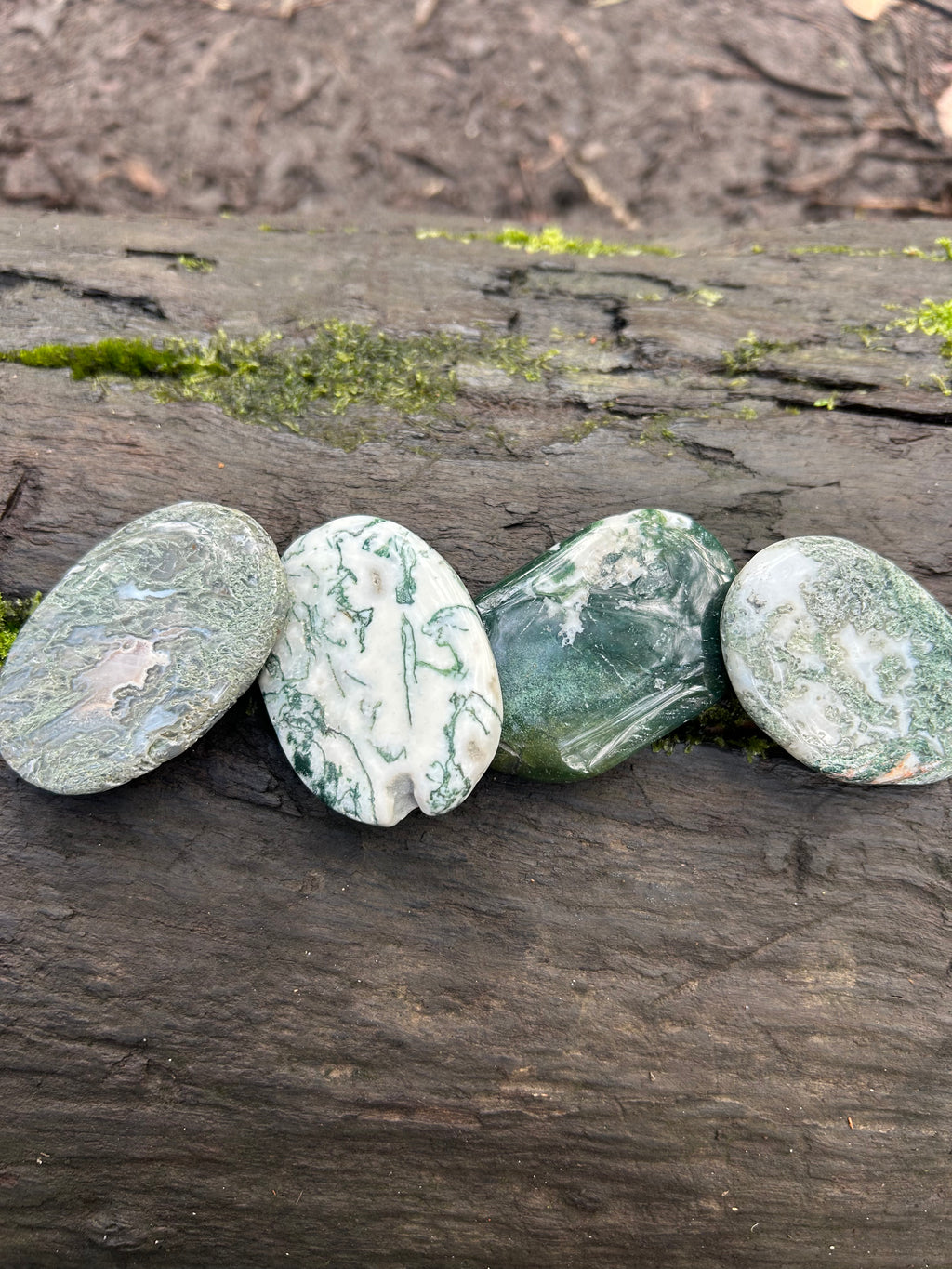 Moss Agate Palm