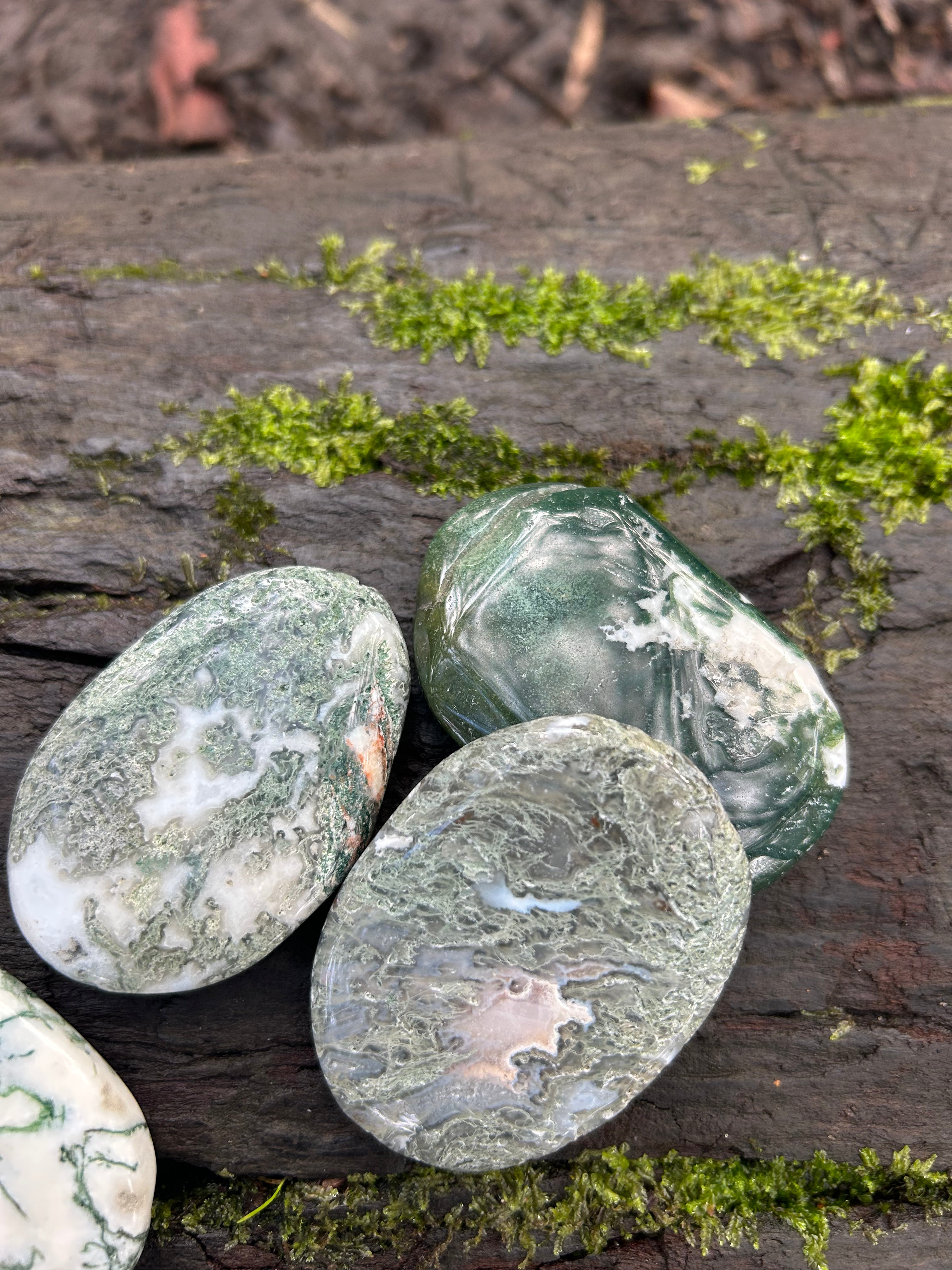 Moss Agate Palm