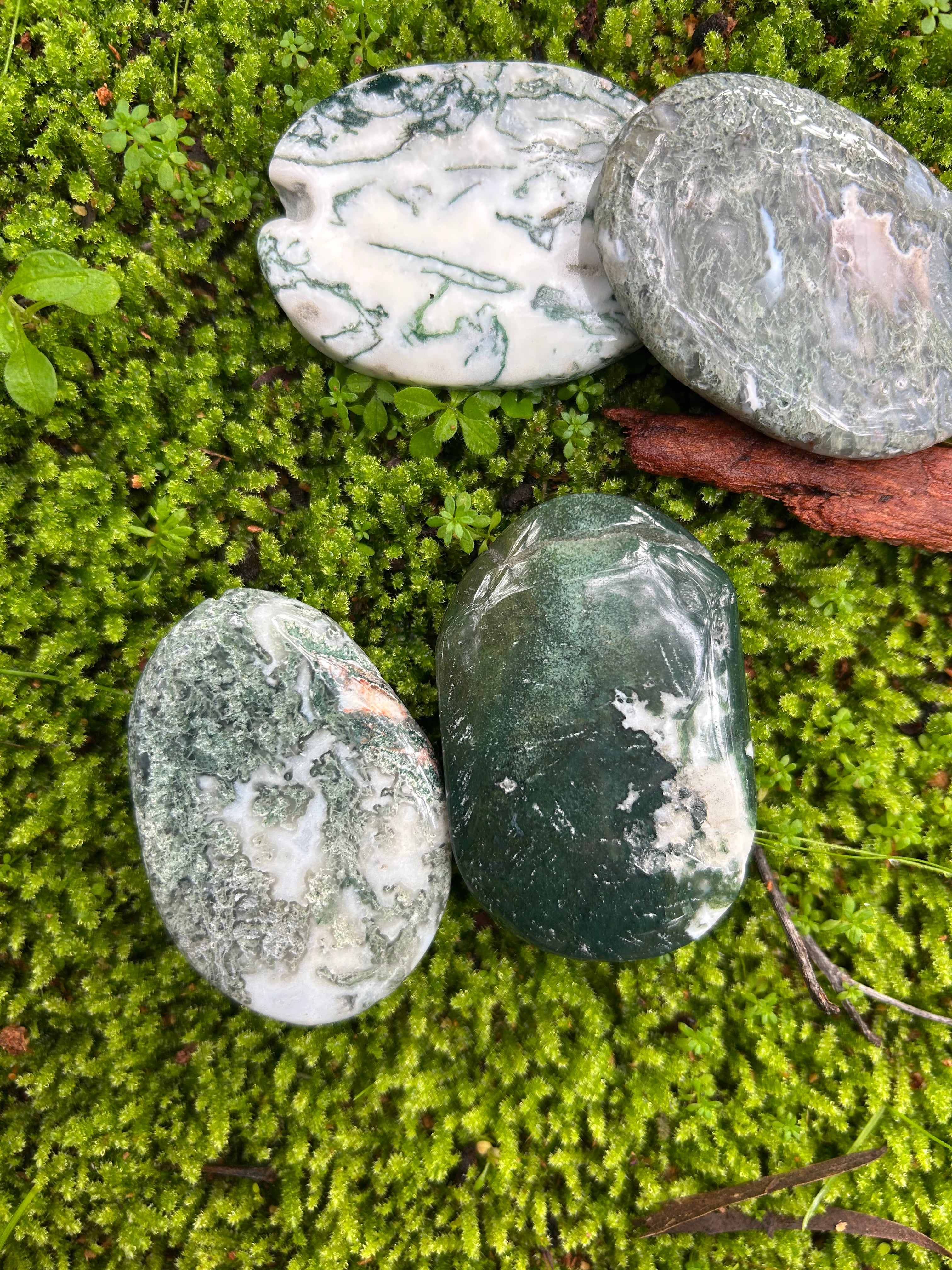 Moss Agate Palm