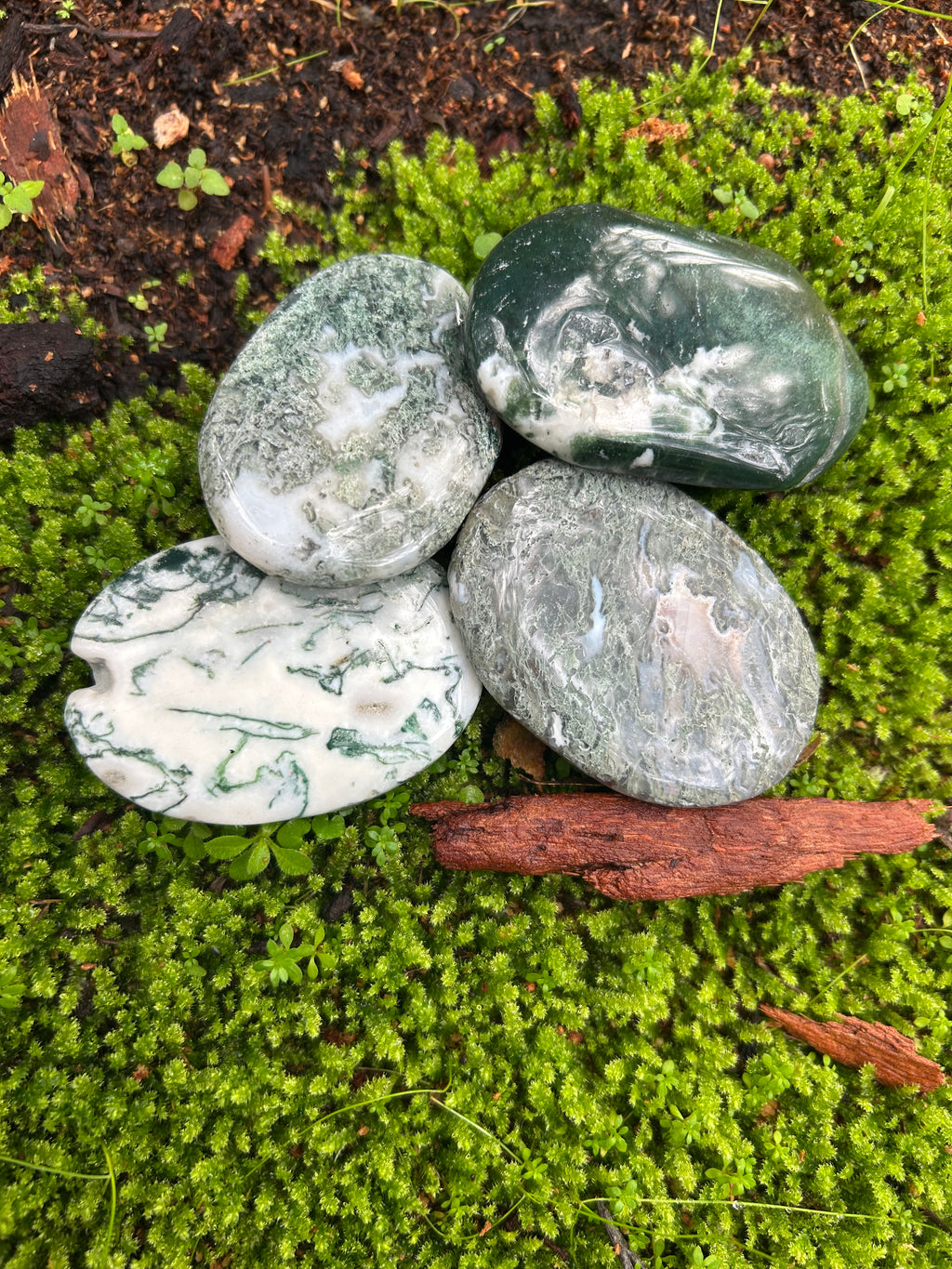 Moss Agate Palm