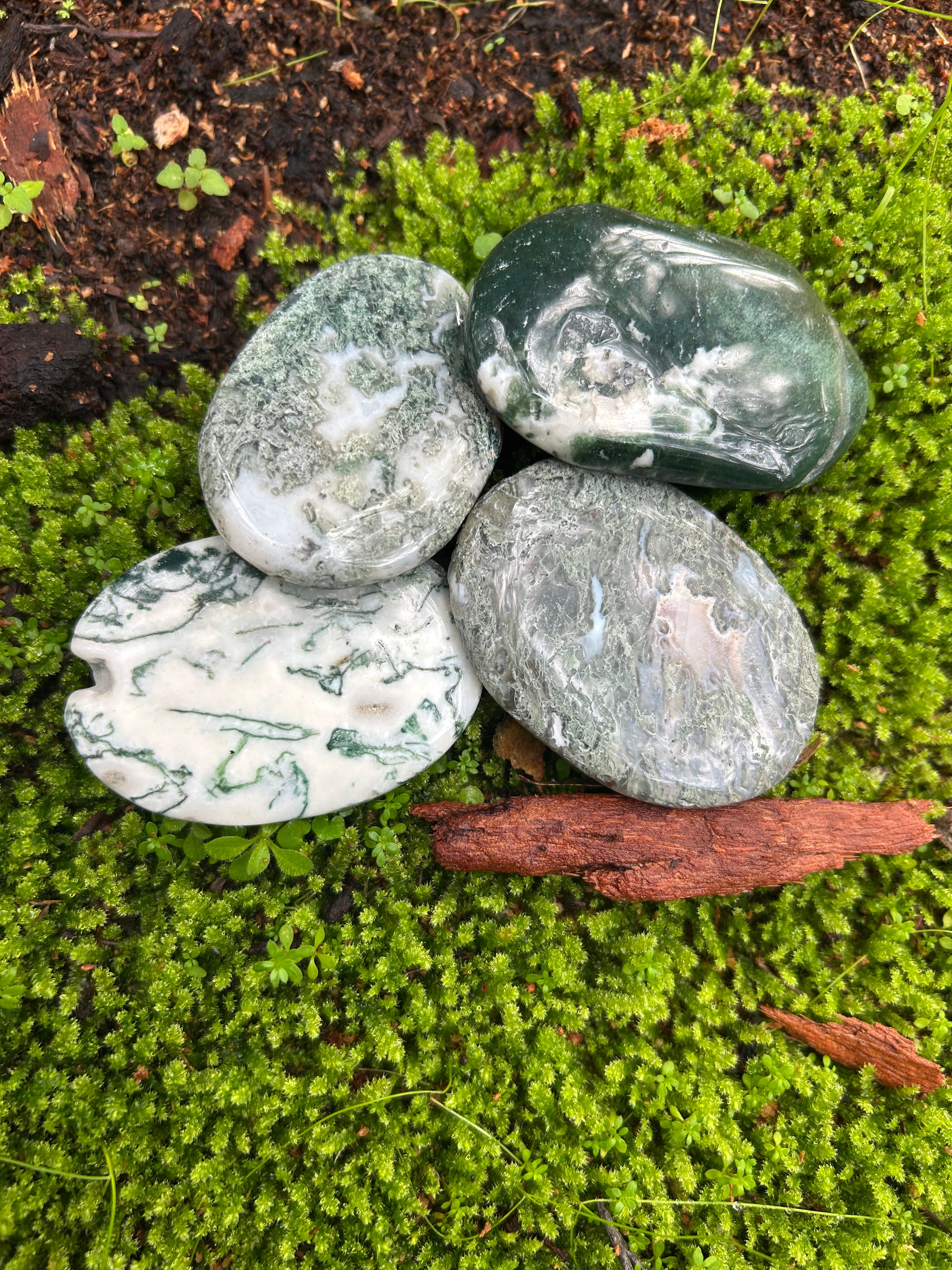 Moss Agate Palm