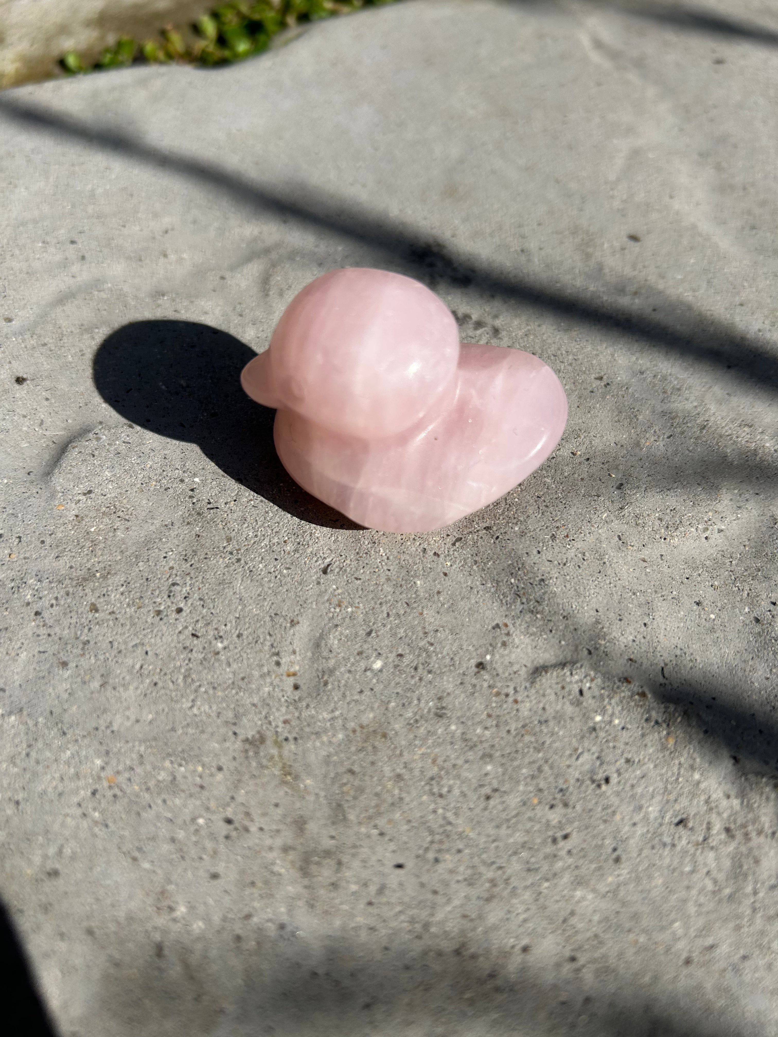 Small Duck #1