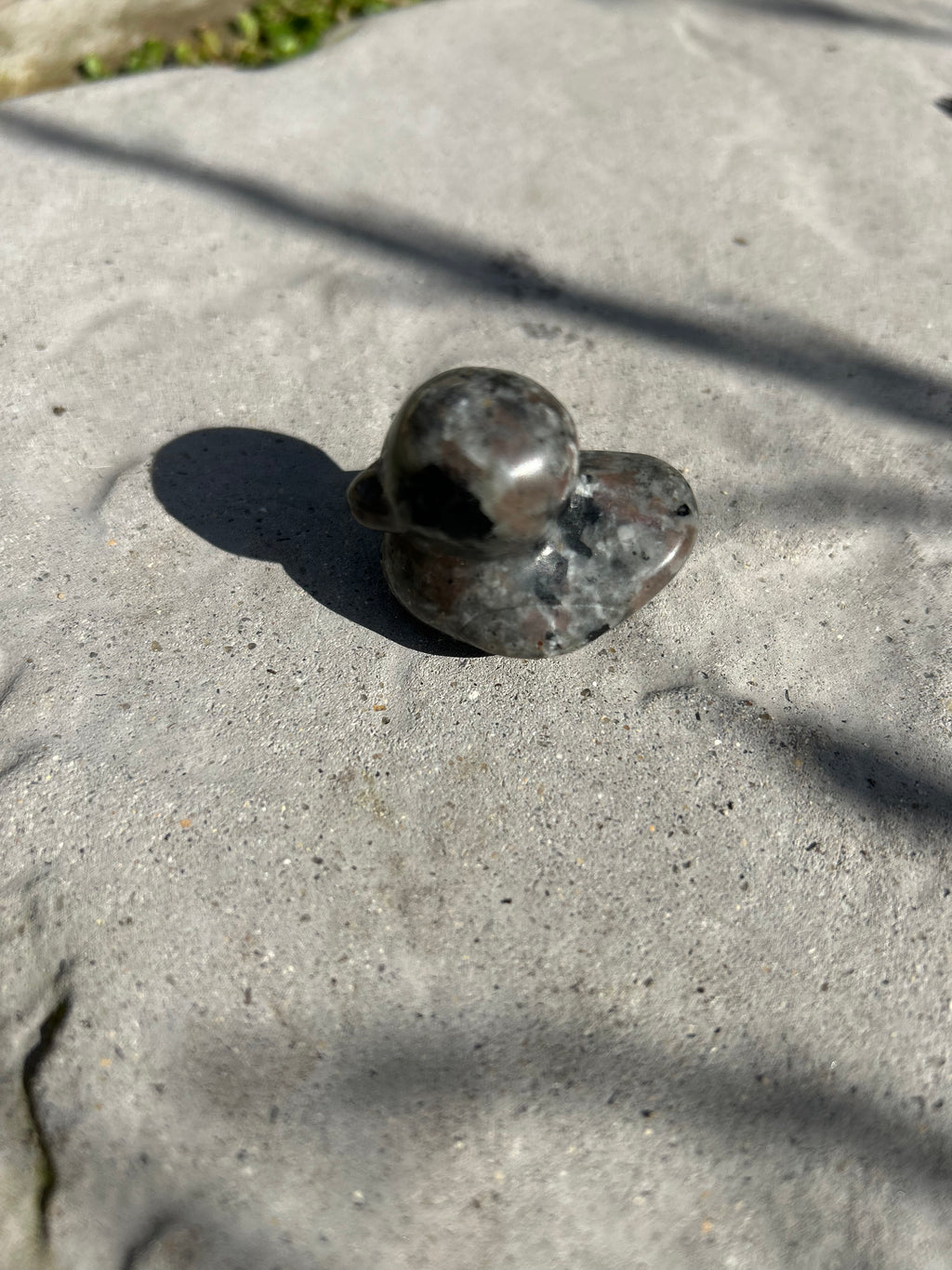 Small Duck #5