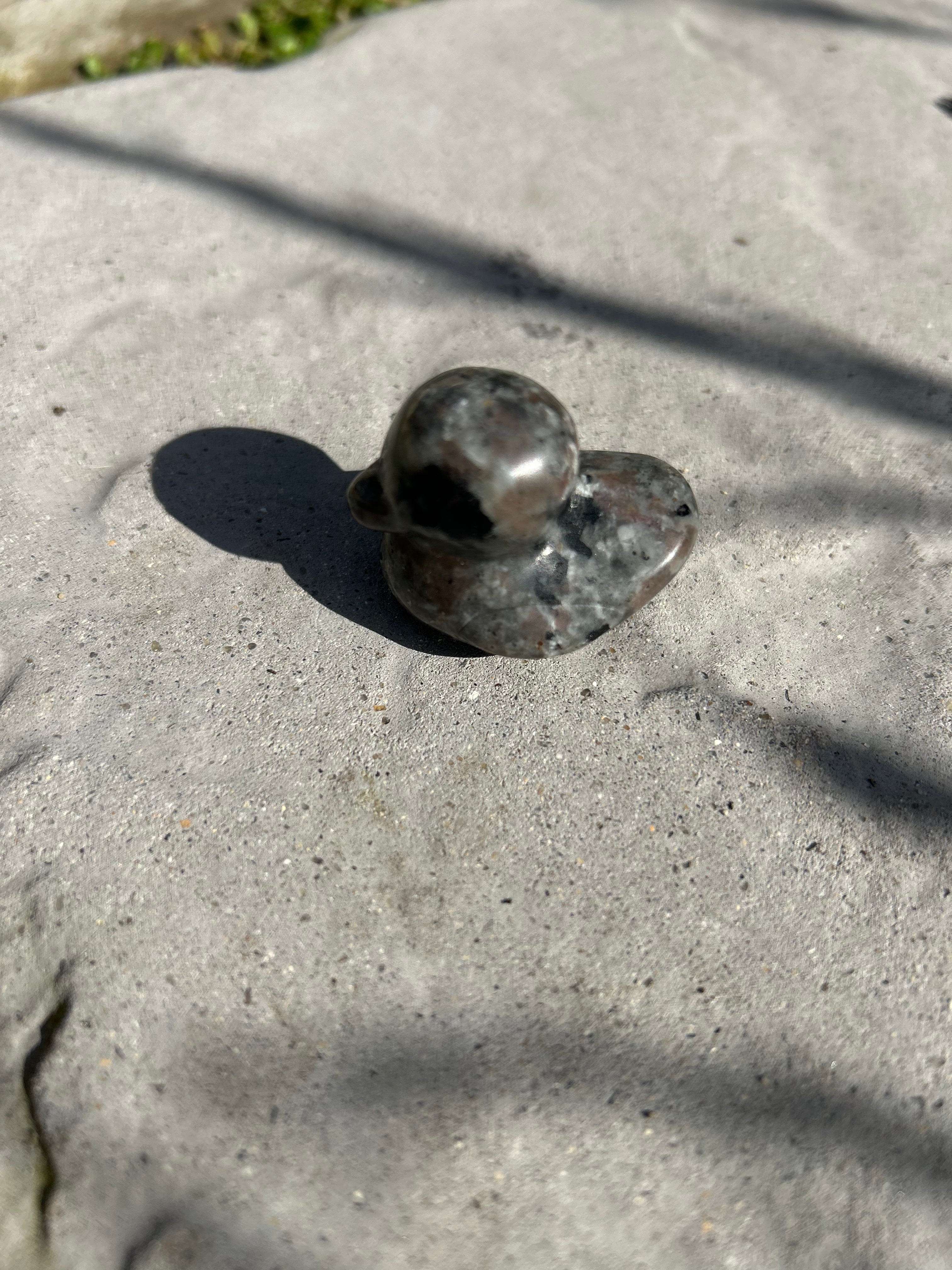 Small Duck #5