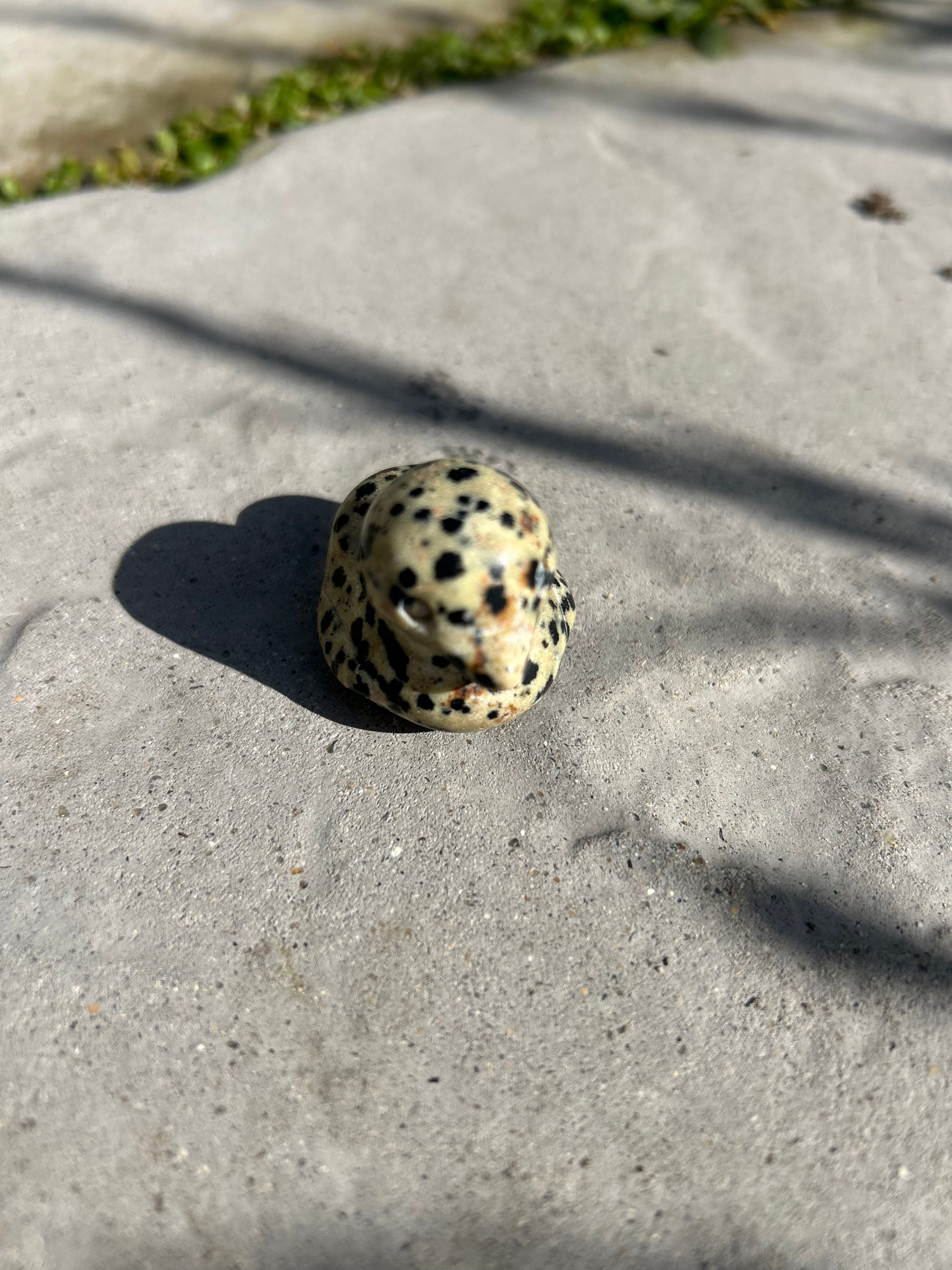 Small Duck #6