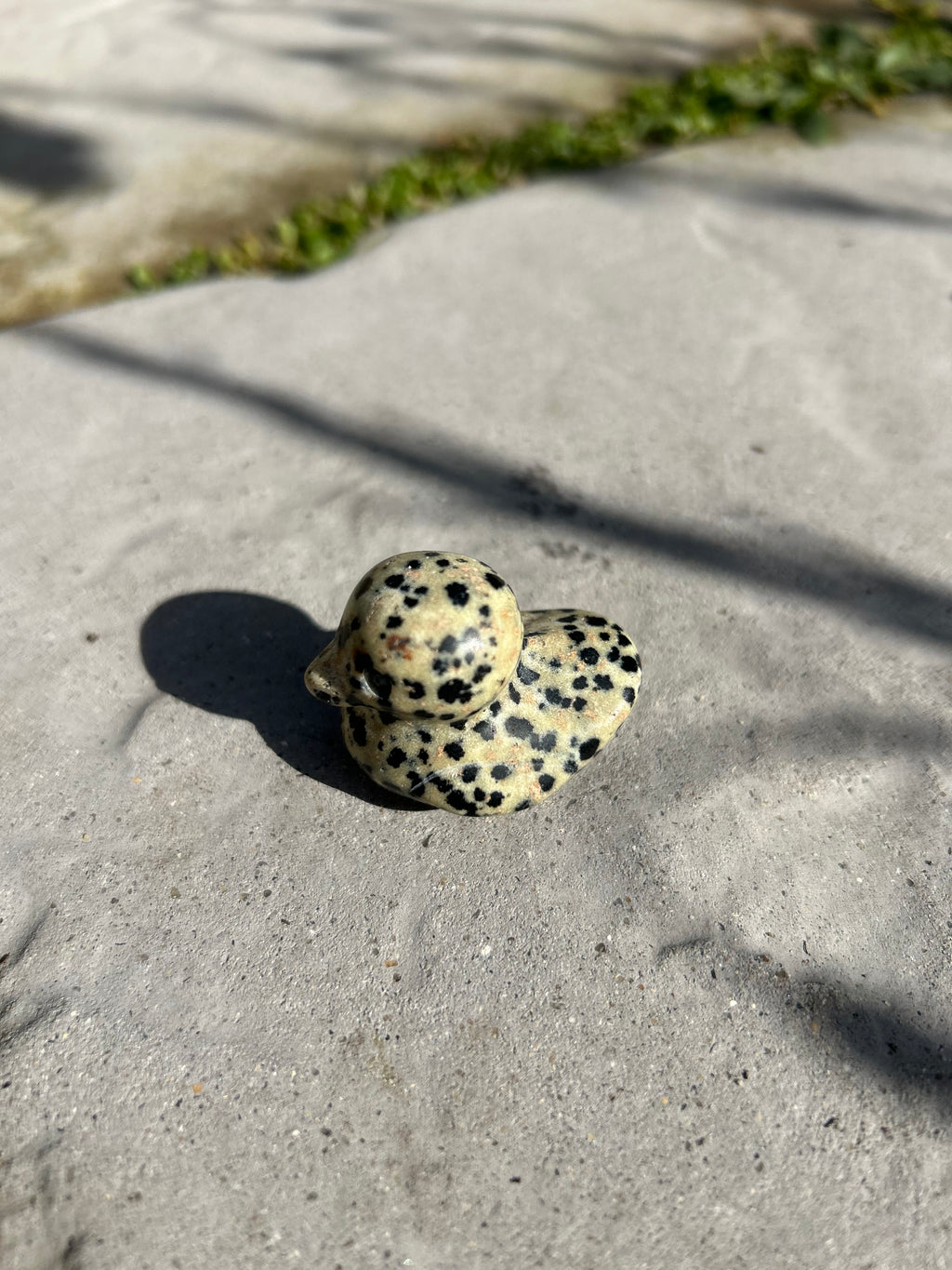 Small Duck #6