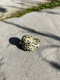 Small Duck #6