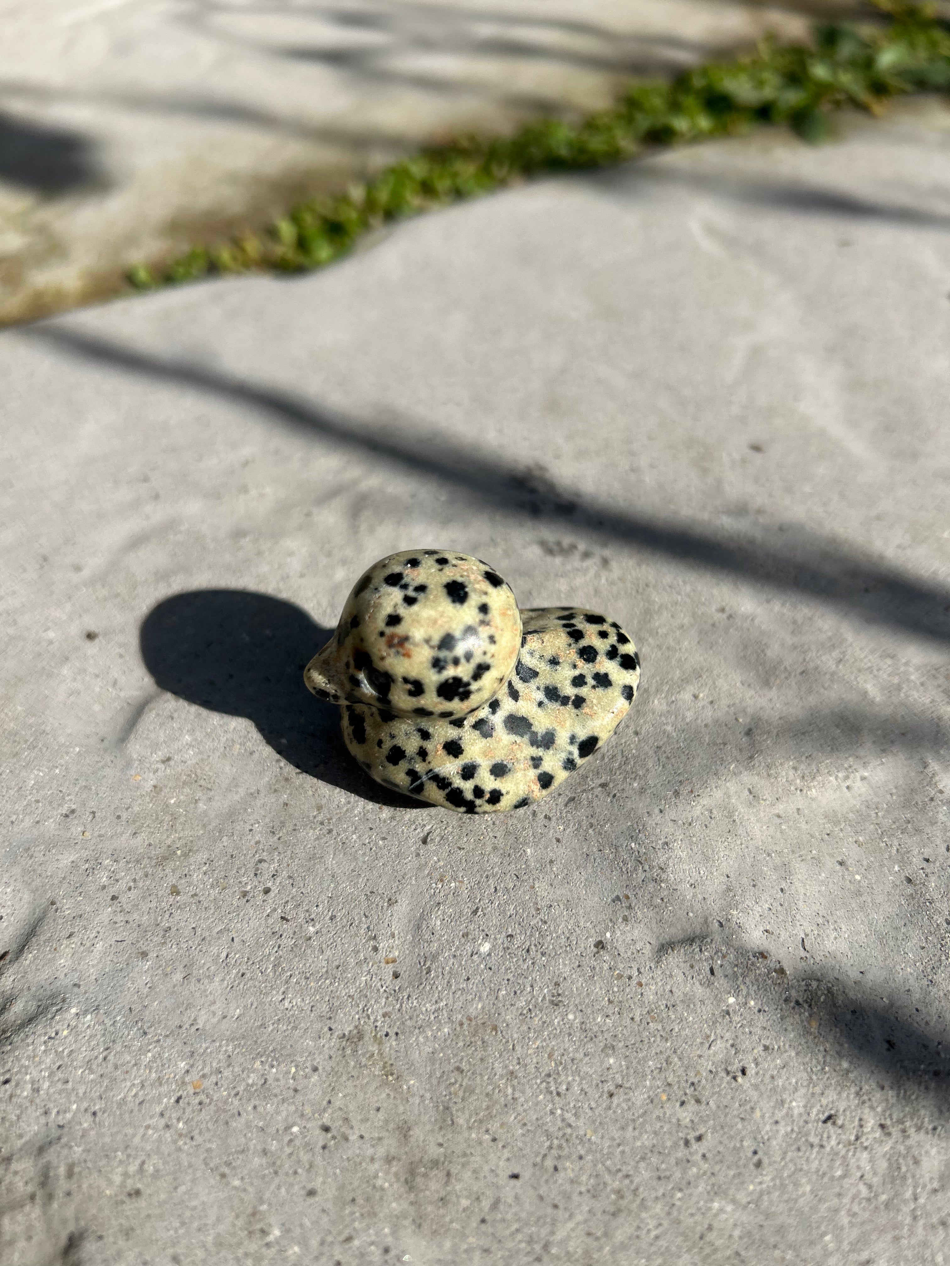 Small Duck #6