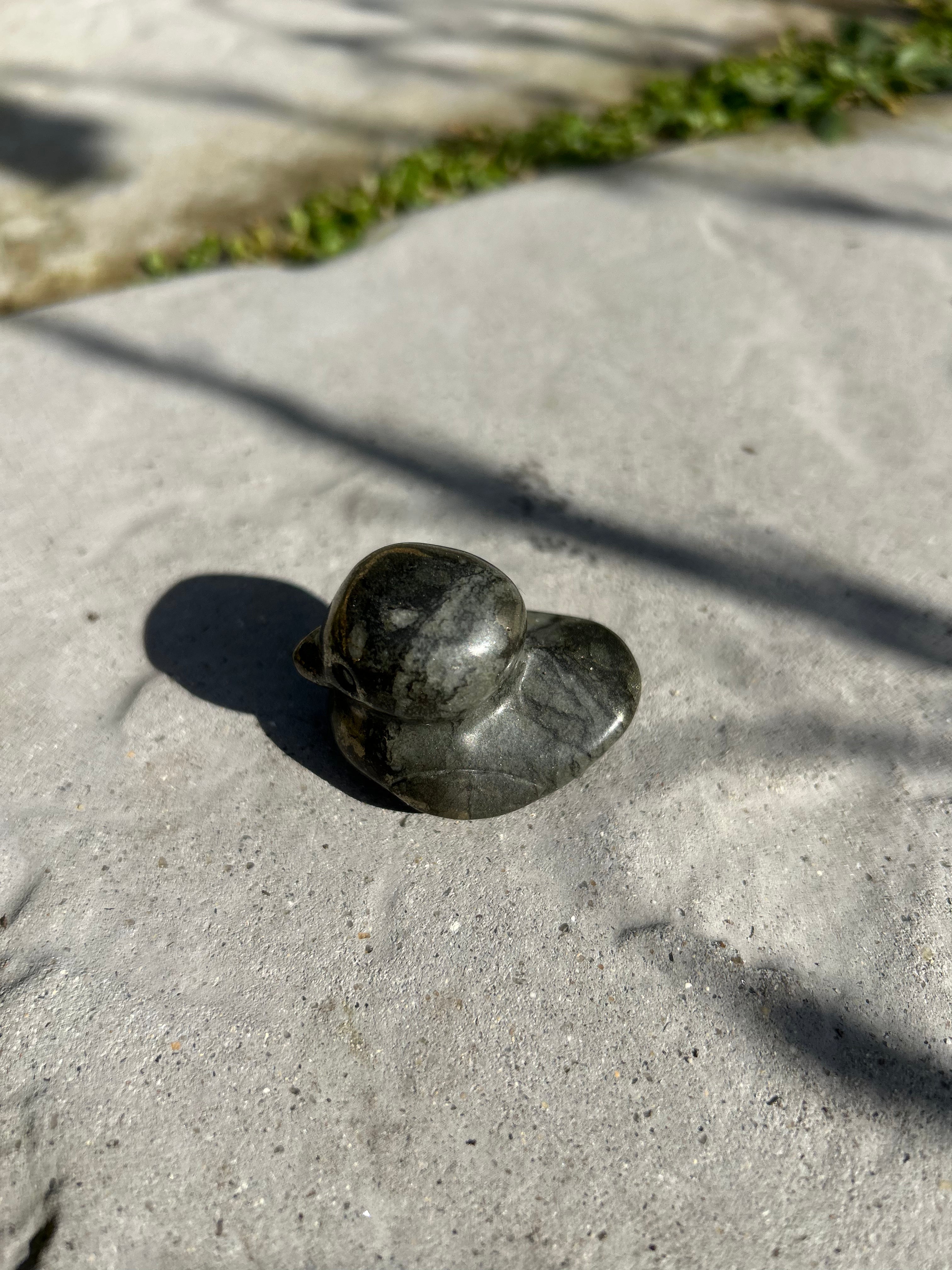 Small Duck #8