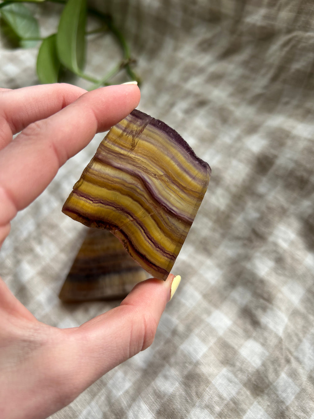 Fluorite Slab #1