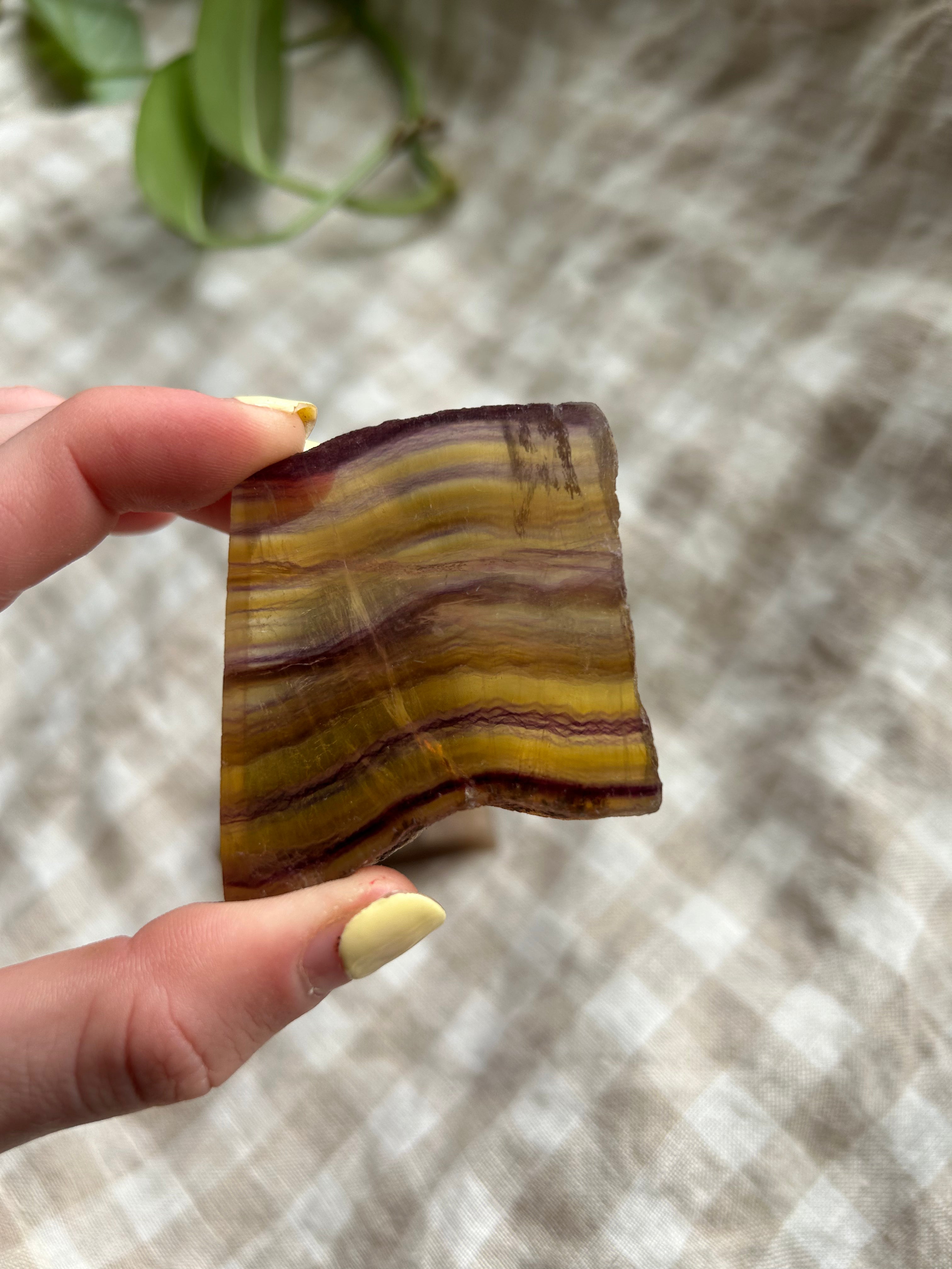 Fluorite Slab #1